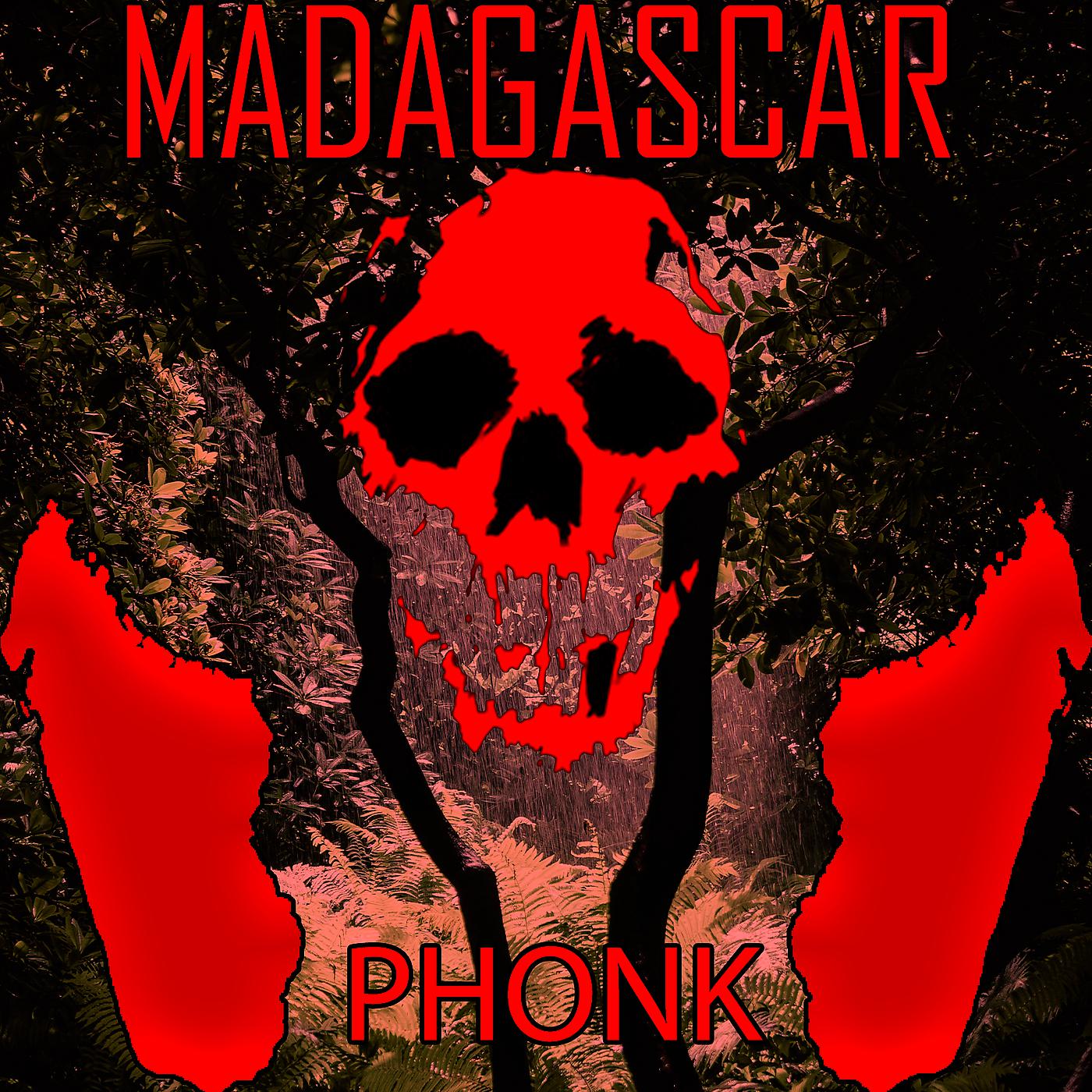 Постер альбома Madagascar Phonk