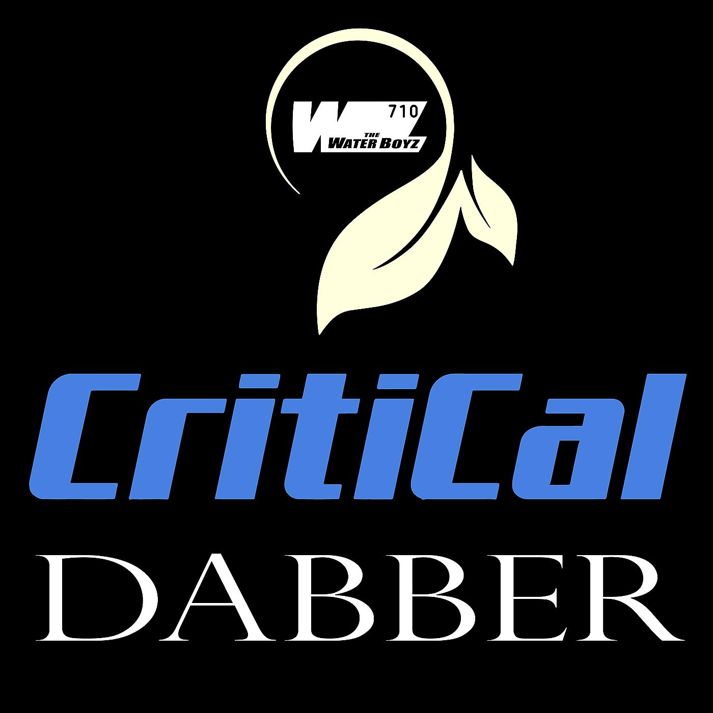 Постер альбома Critical Dabber