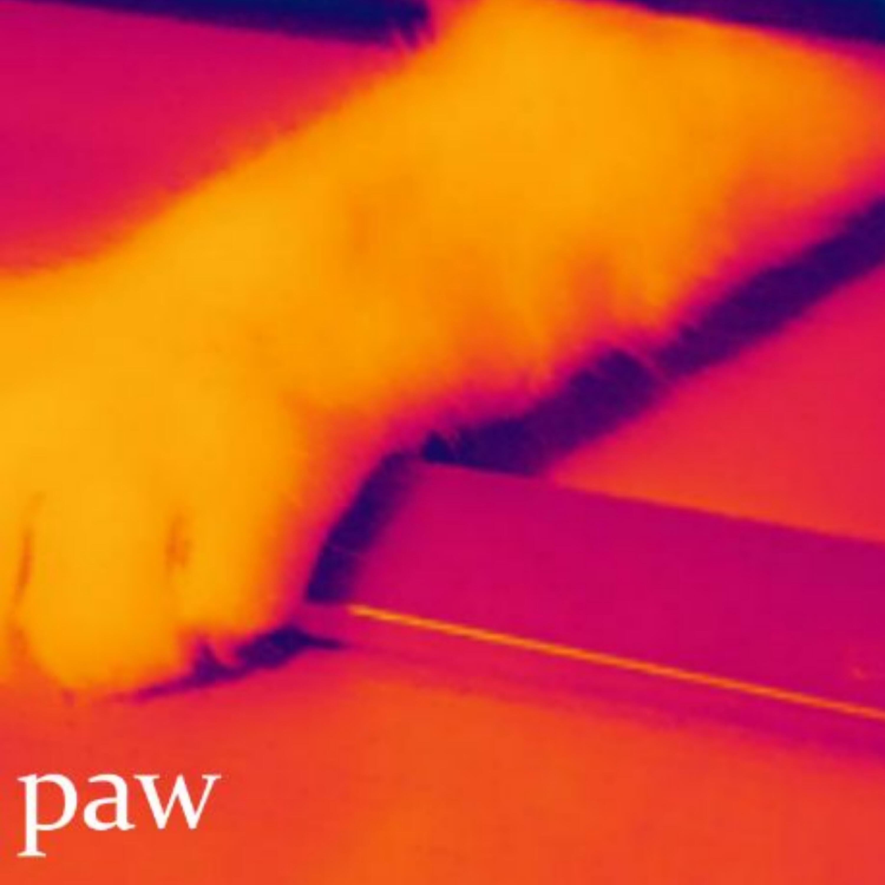 Альбом Paw исполнителя The Slayers