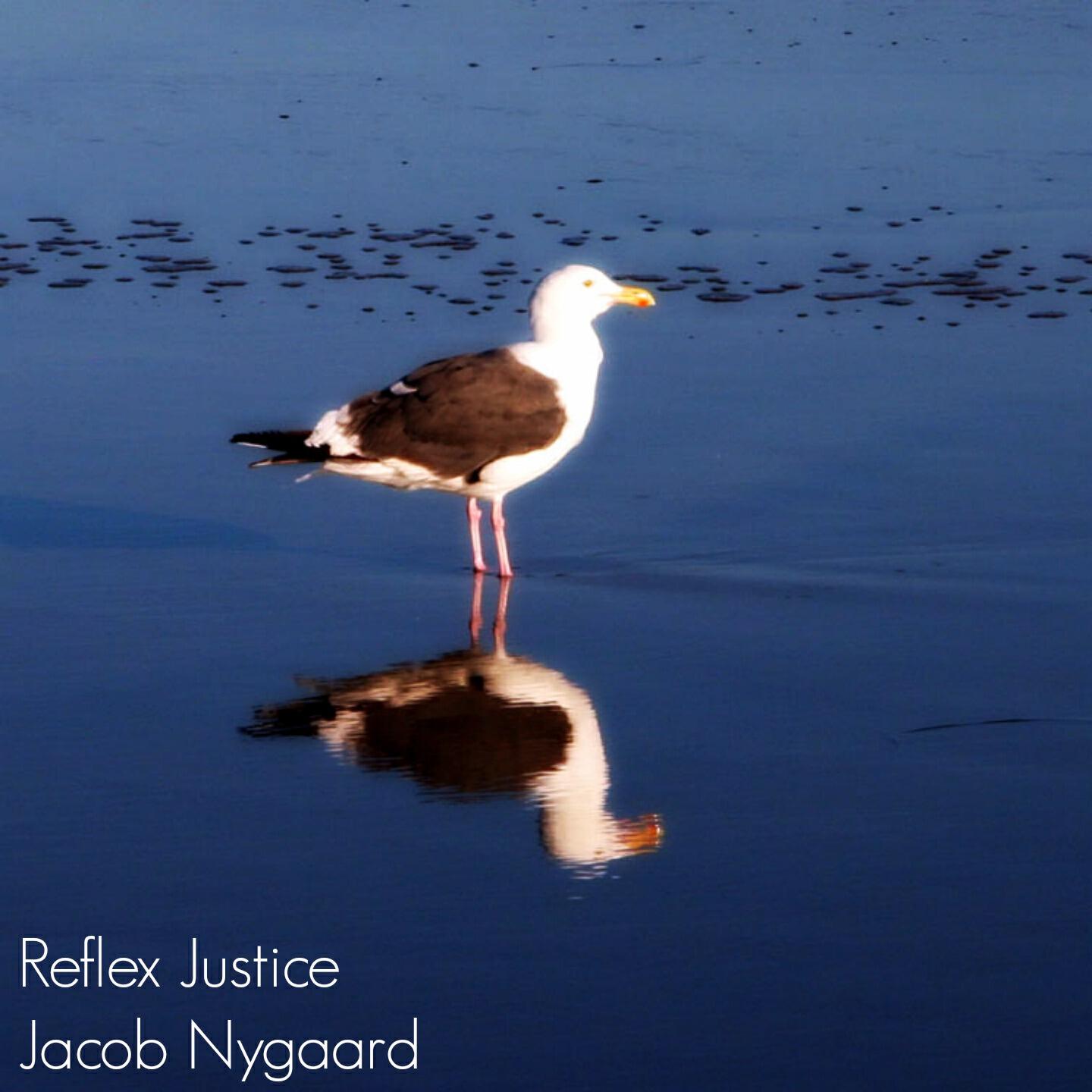 Jacob Nygaard - Rhythm Emotions: Reflex Justice