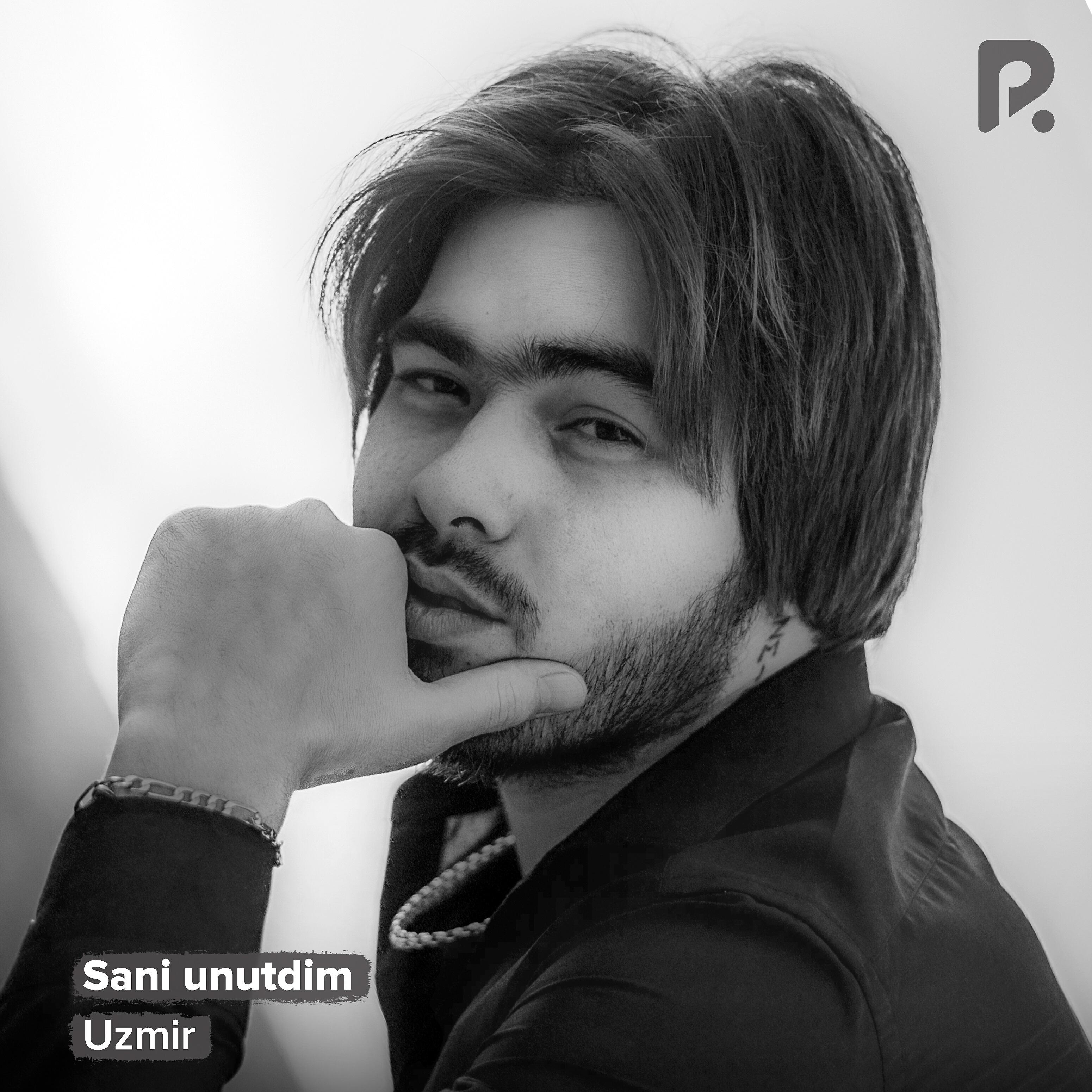 Постер альбома Sani unutdim