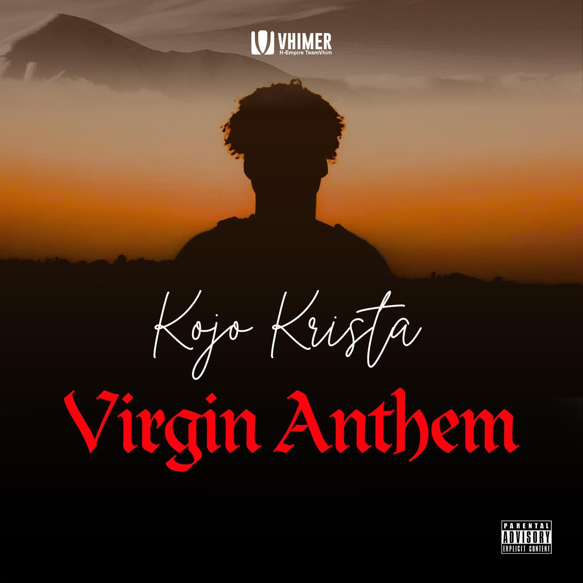 Постер альбома Virgin Anthem