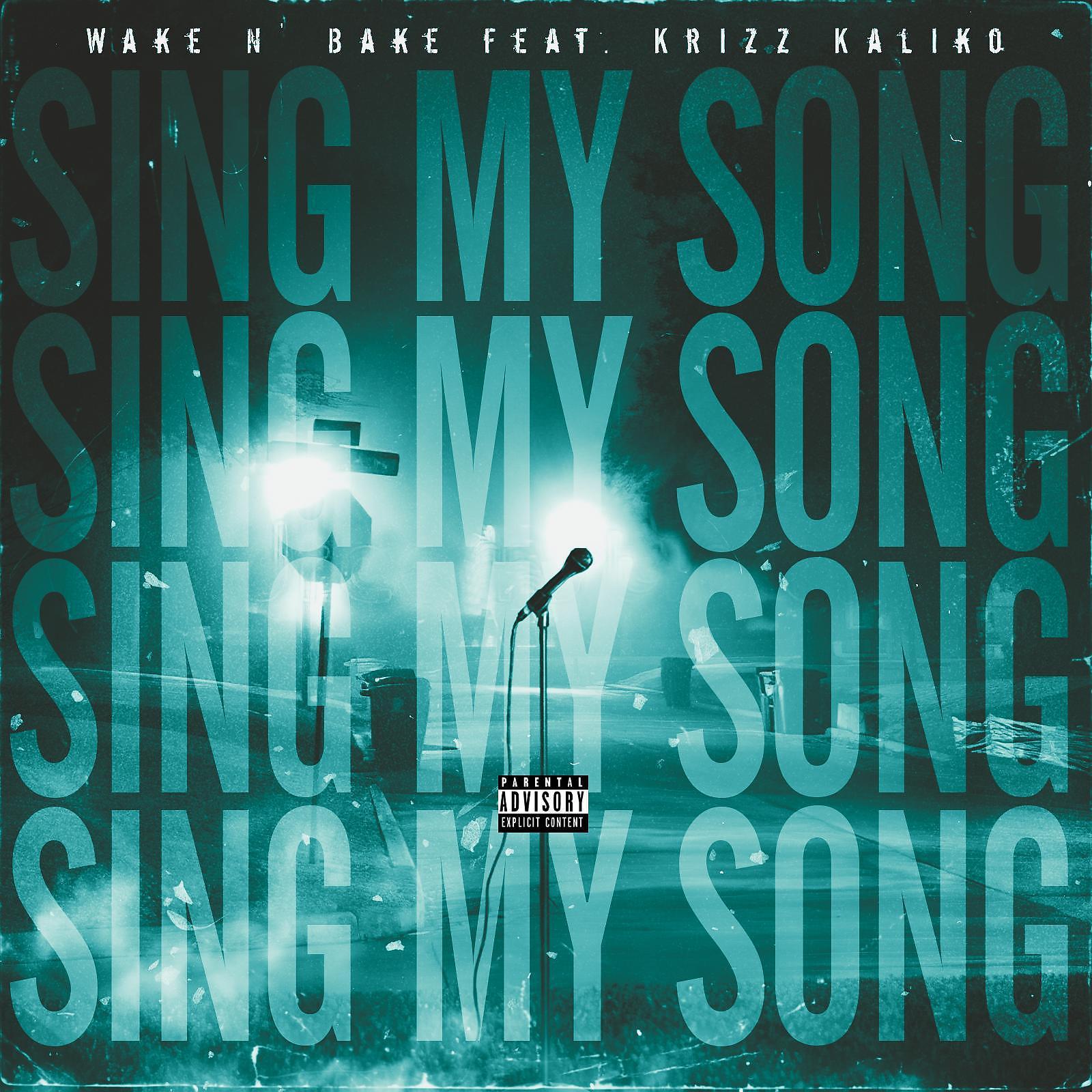 Постер альбома Sing My Song (feat. Krizz Kaliko)