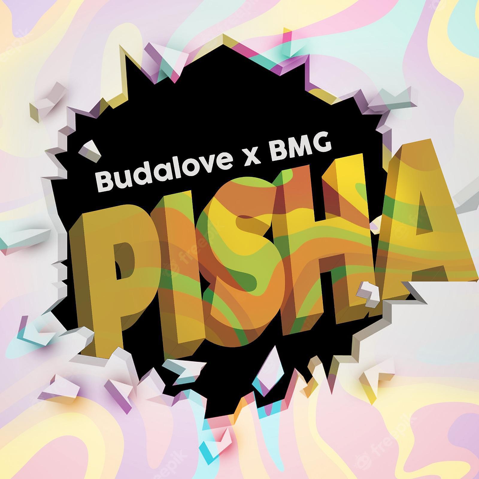 Постер альбома Pisha (feat. B.M.G)