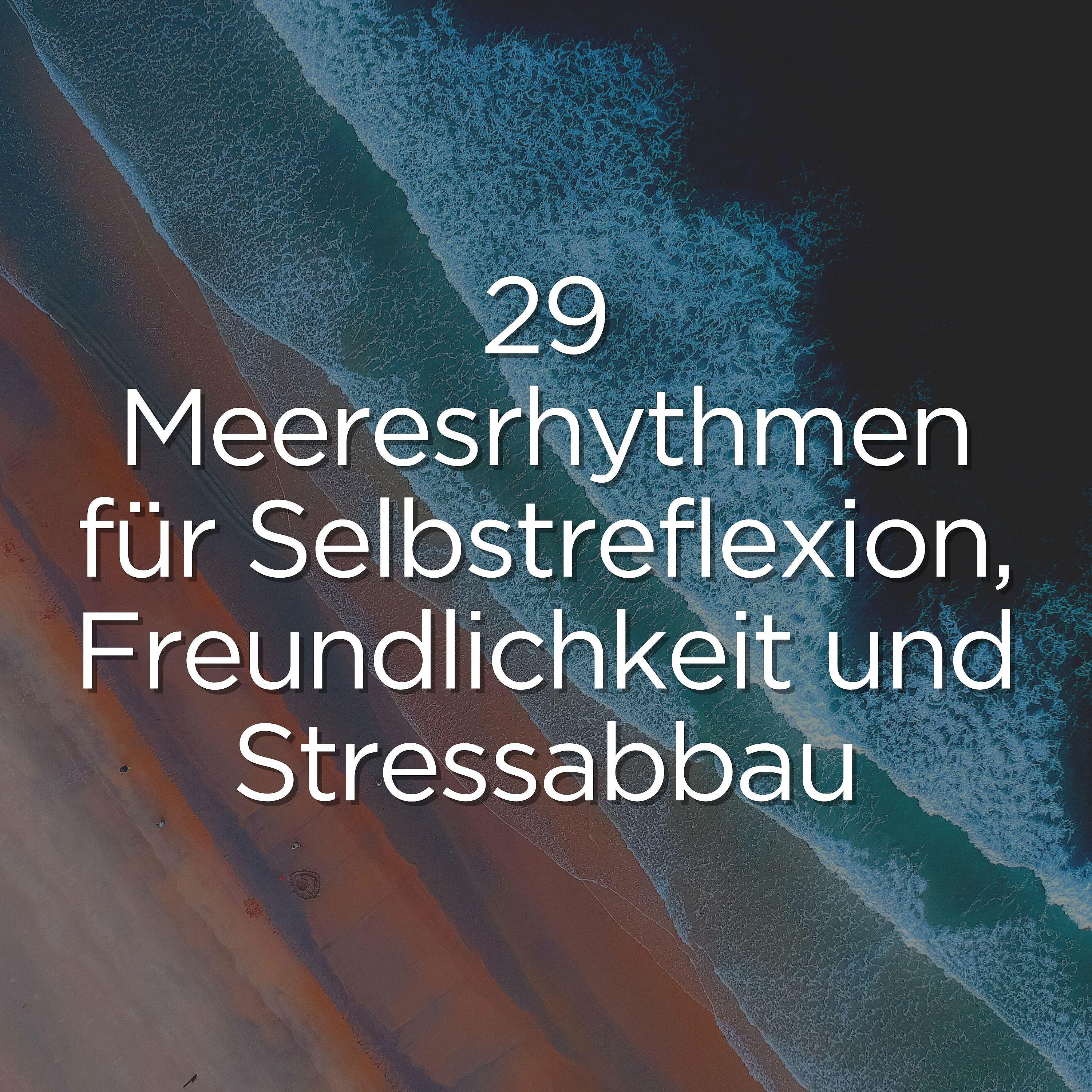 Постер альбома 29 meeresrhythmen für selbstreflexion, Freundlichkeit und stressabbau