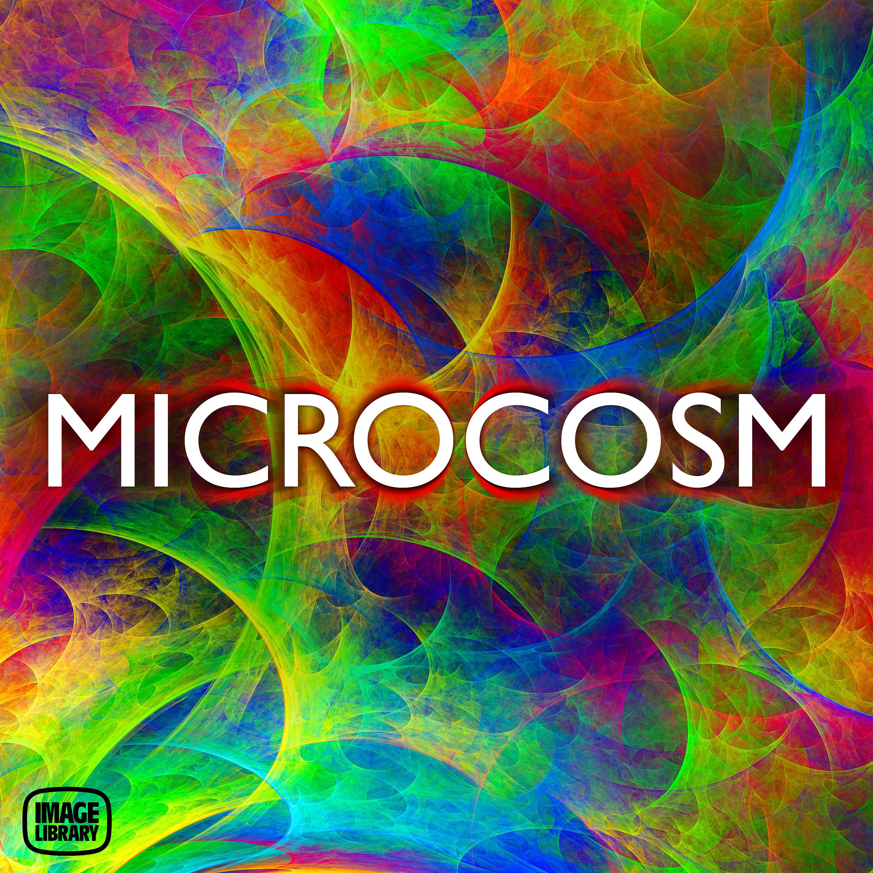 Постер альбома Microcosm