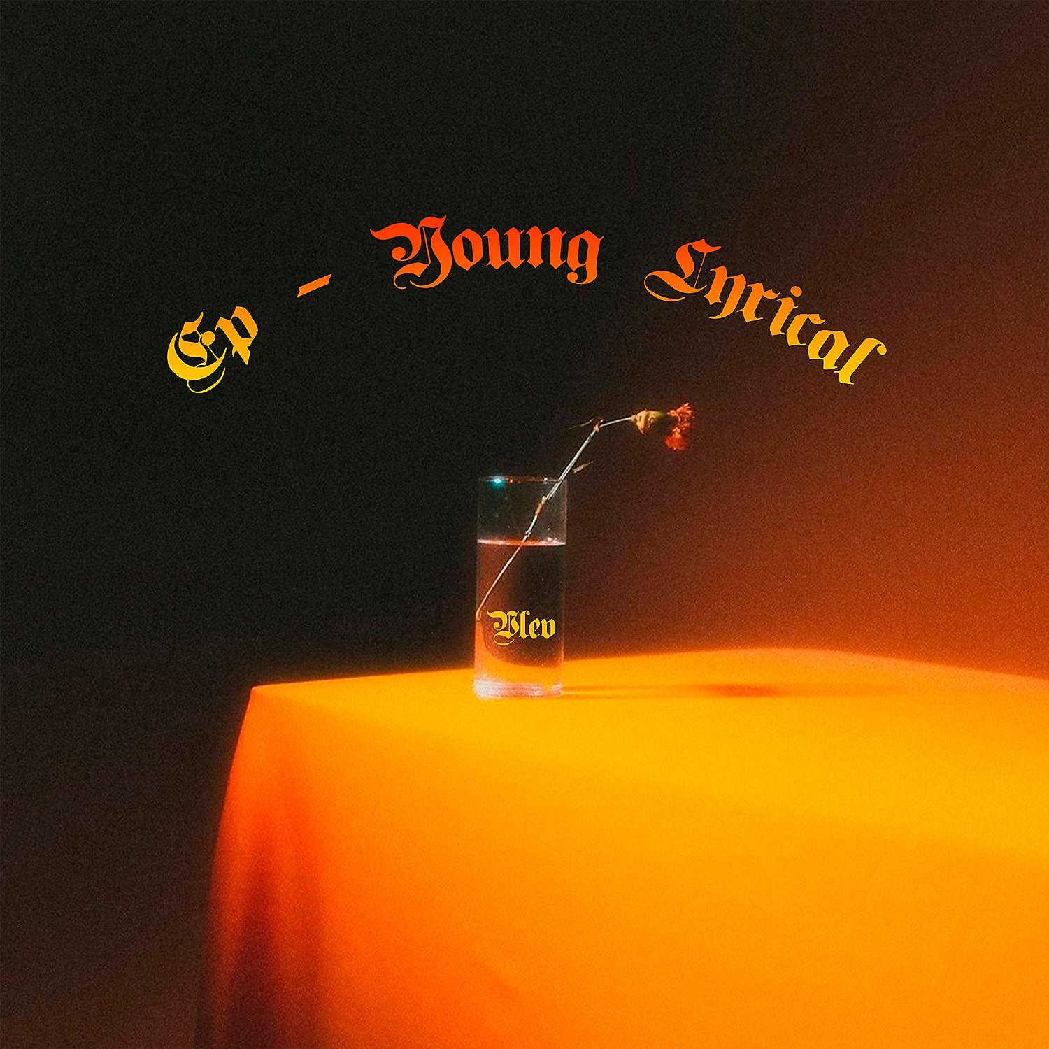 Постер альбома Lyrical Young