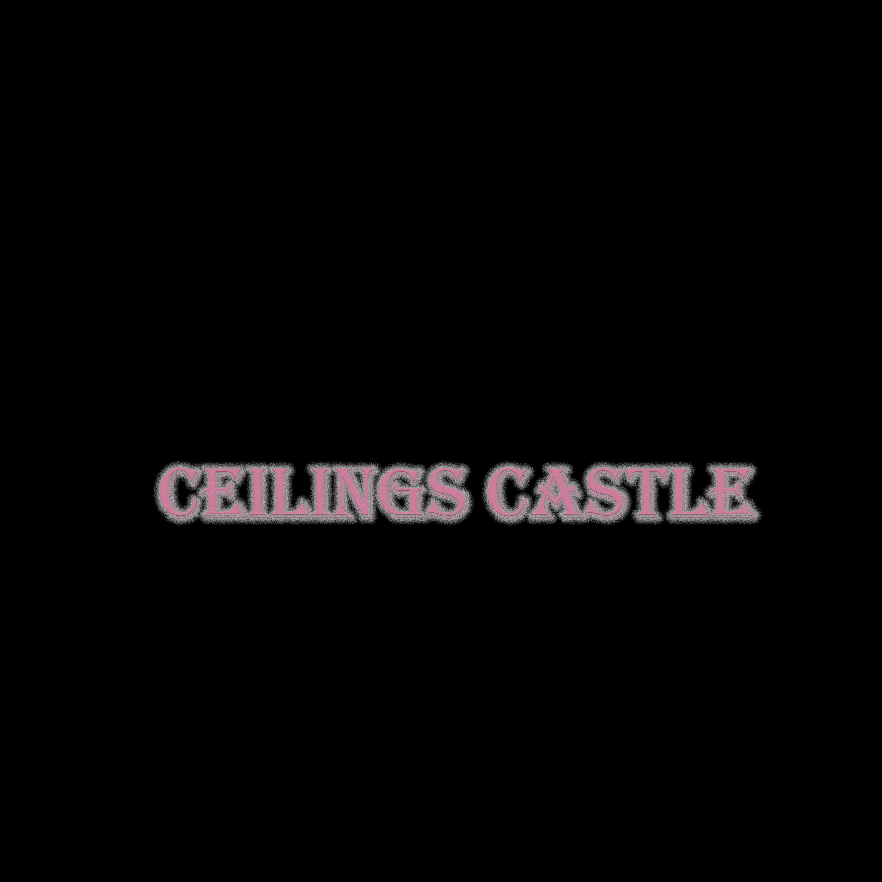 Постер альбома ceilings castle