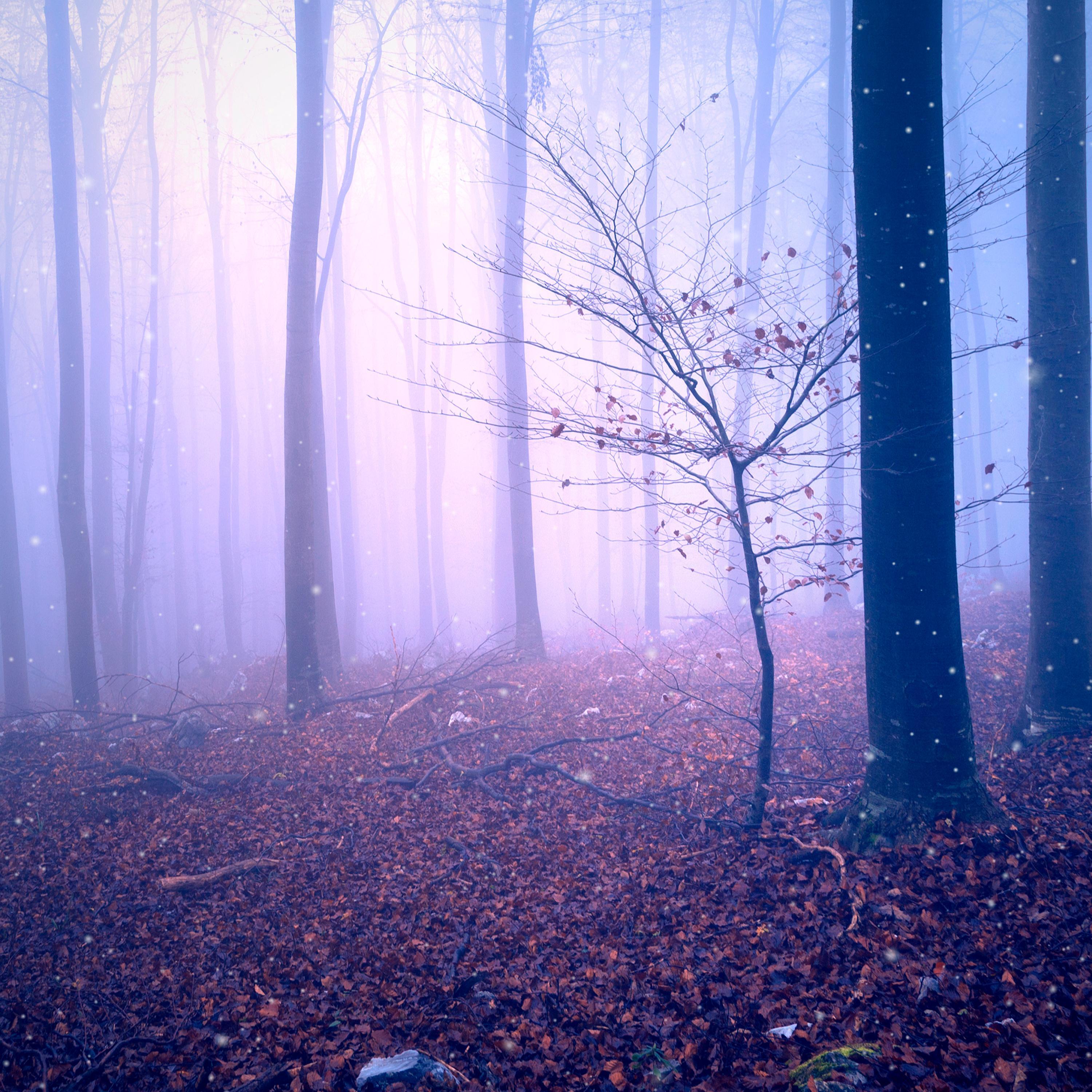 Альбом И ты всё равно мне снишься исполнителя StiNji