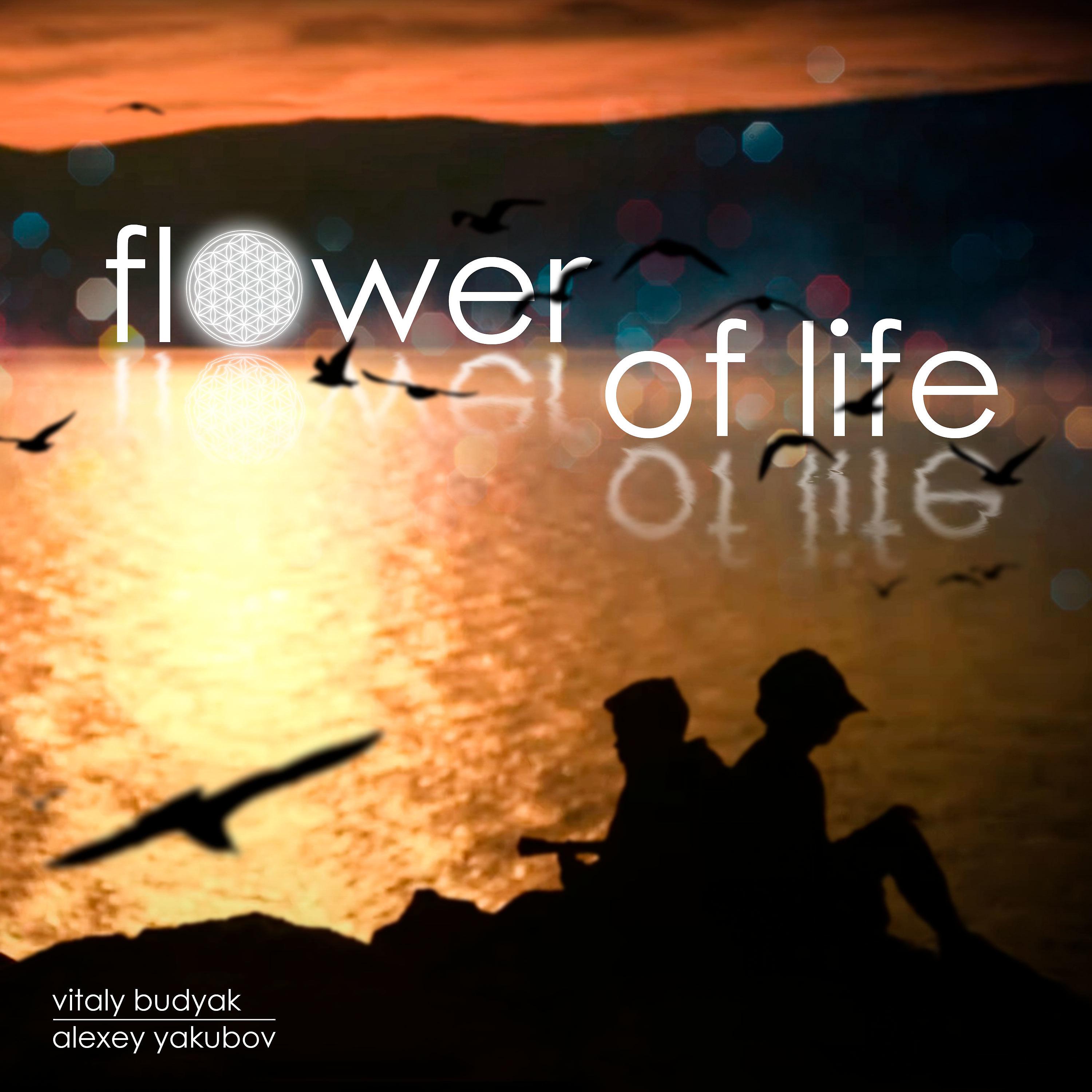 Постер альбома Flower of Life (Instrumental)