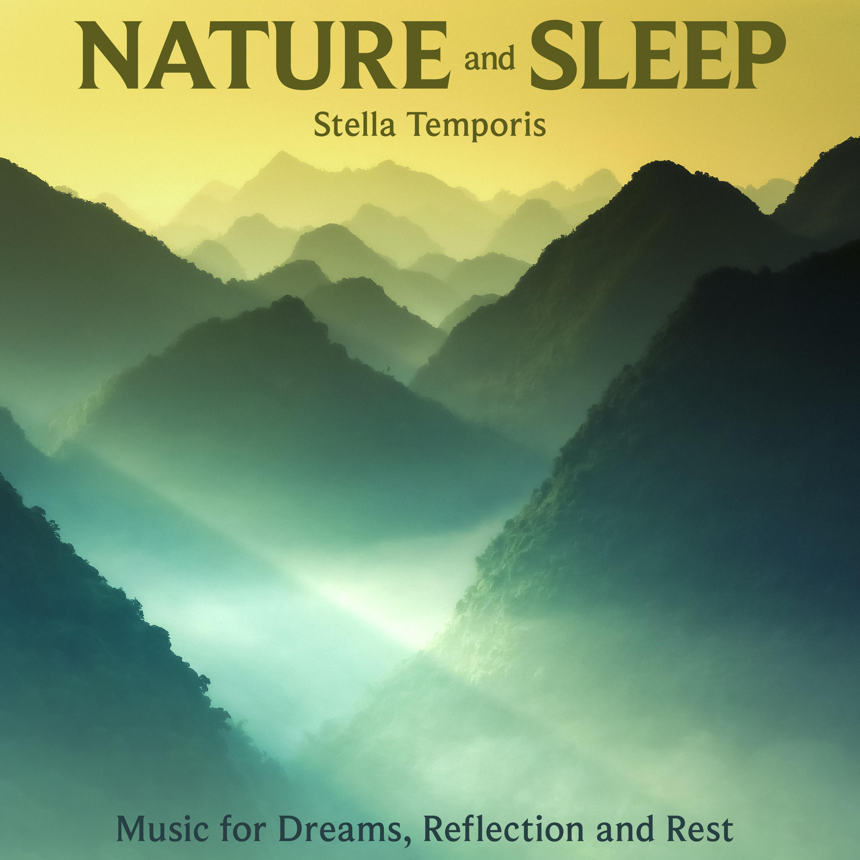Постер альбома Nature and Sleep