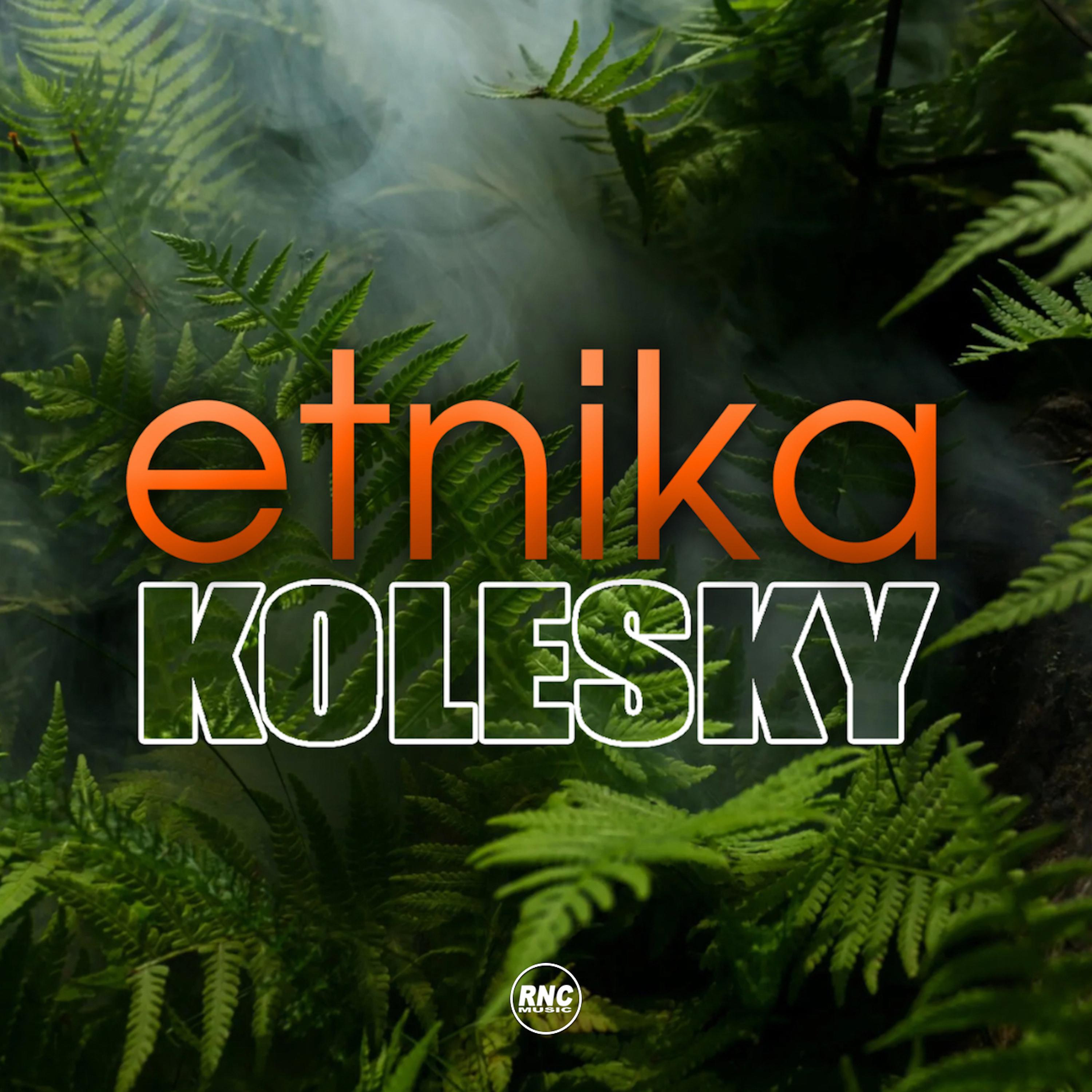 Постер альбома Etnika