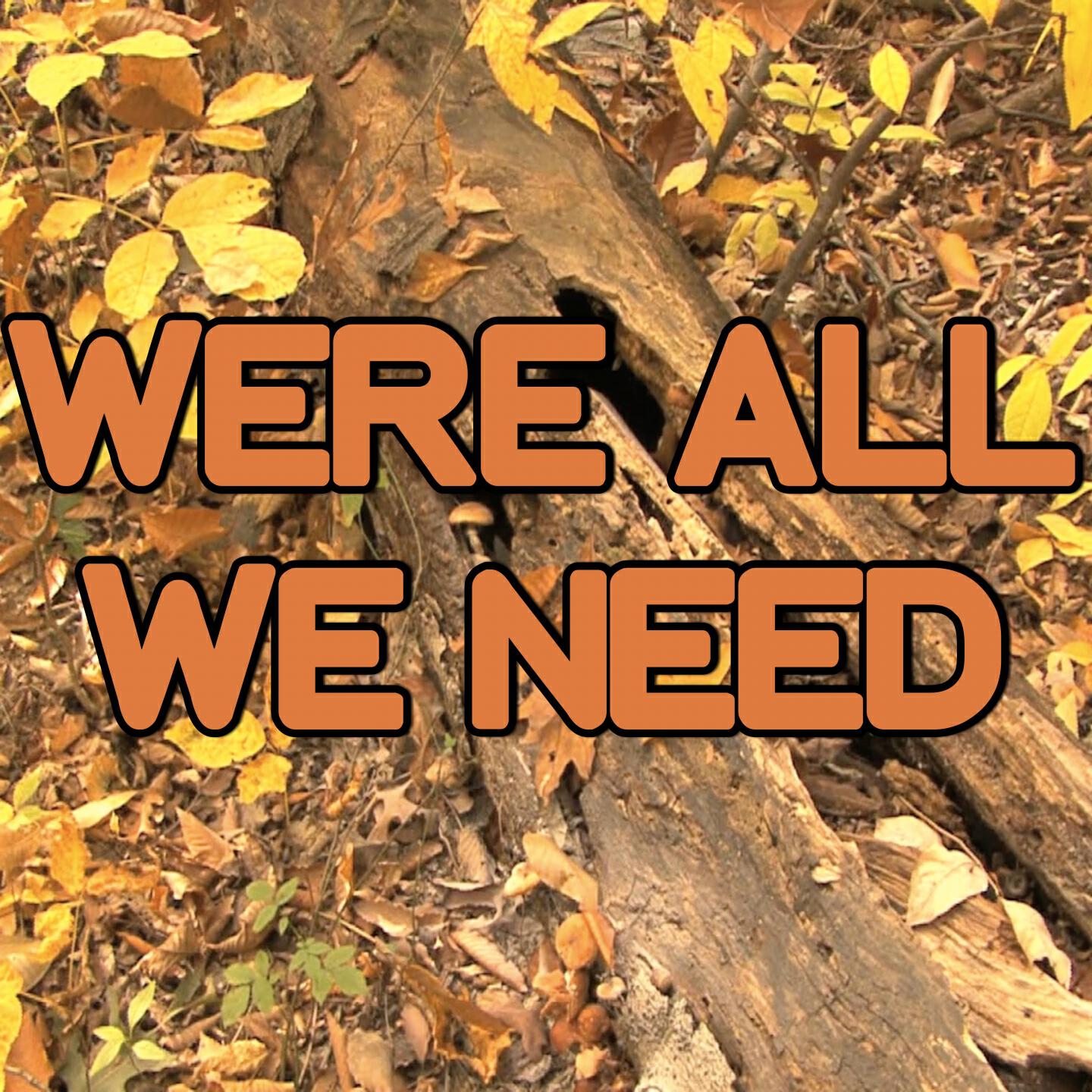 2015 Hammer Hits - We're All We Need - Tribute to Above and Beyond