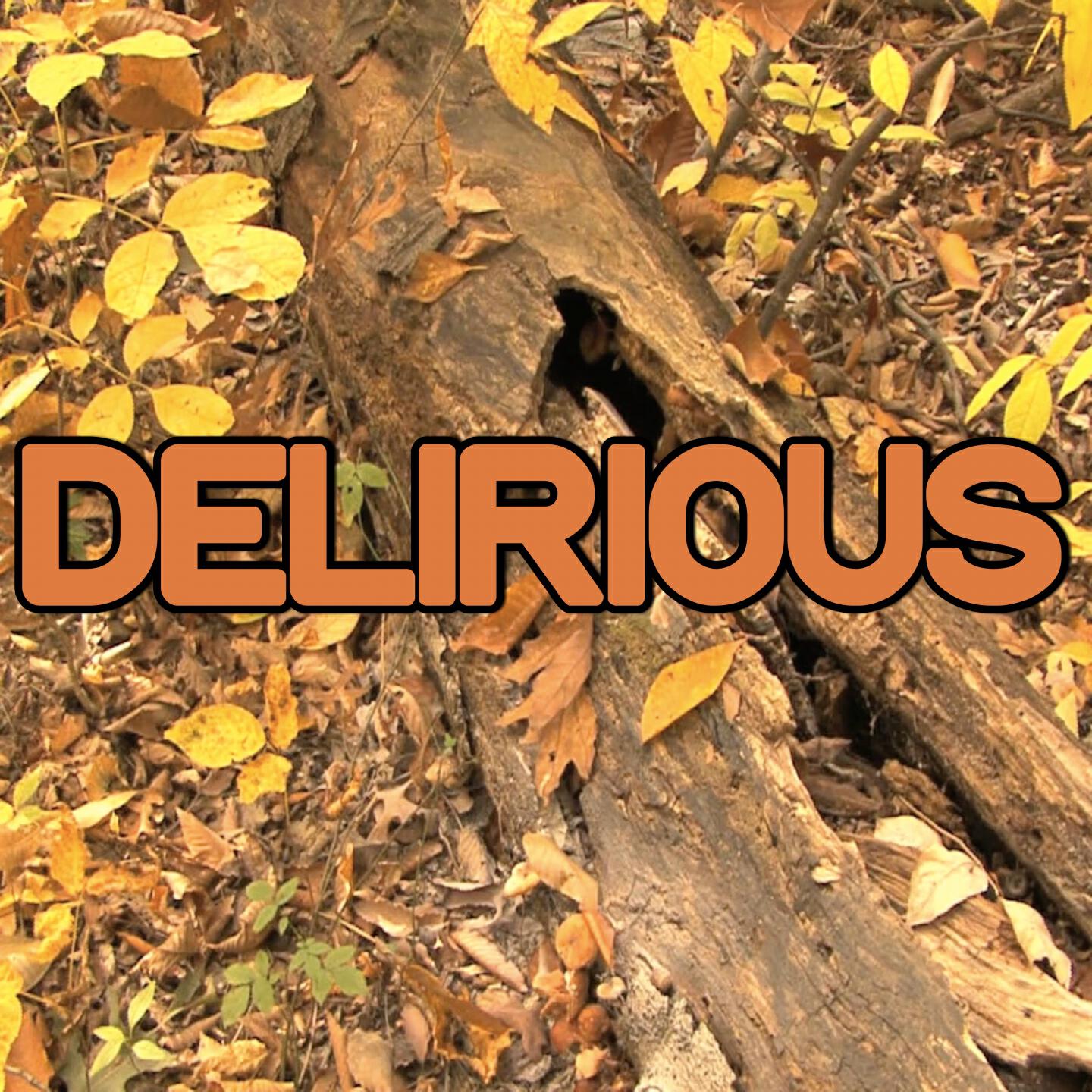 2015 Hammer Hits - Delirious - Tribute to Steve Aoki (Instrumental Version)