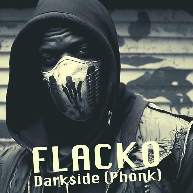 Постер альбома Darkside Phonk