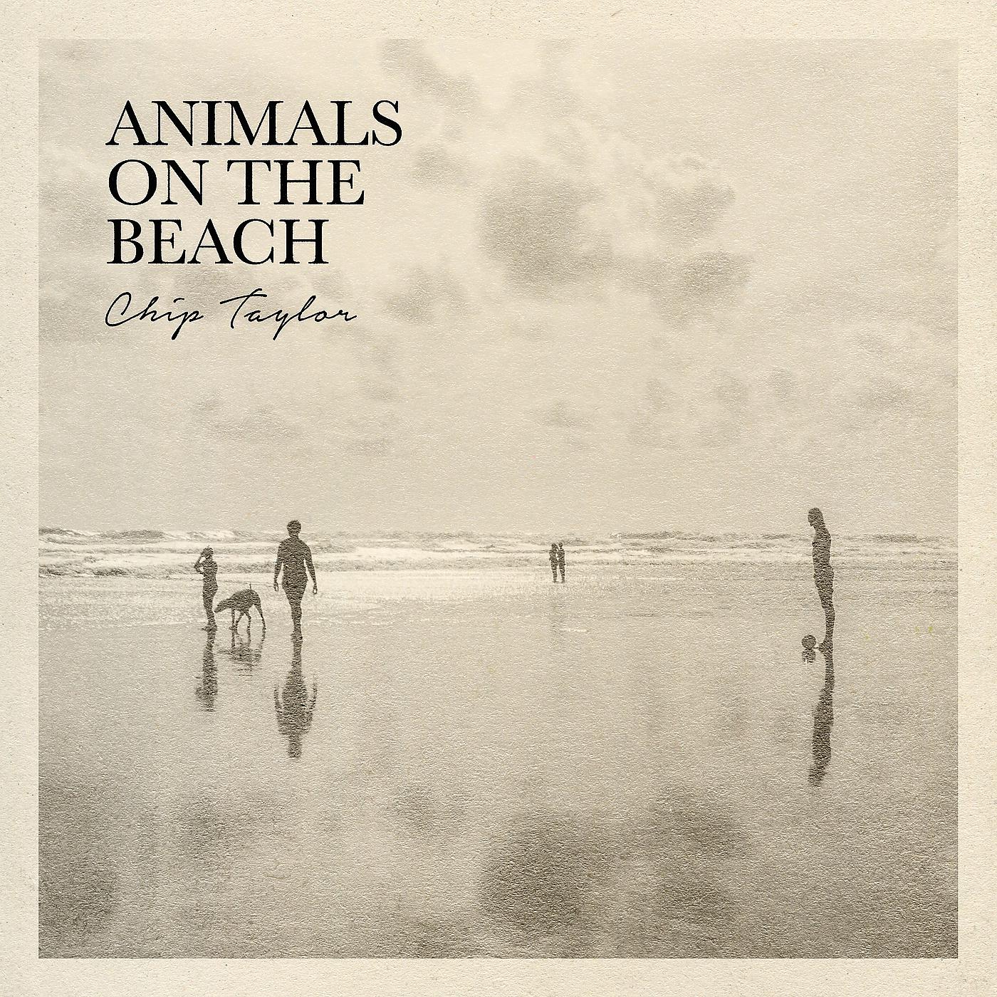Постер альбома Animals on the Beach