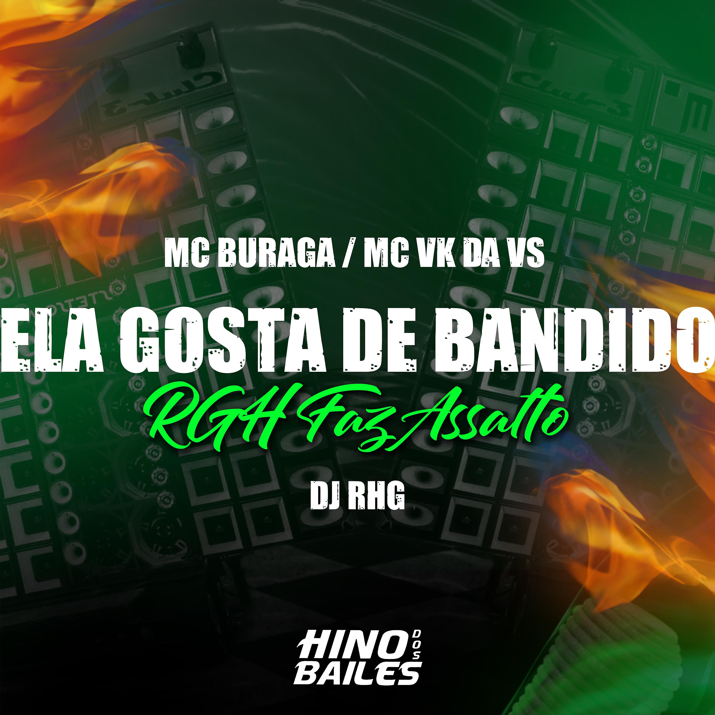 Постер альбома Ela Gosta de Bandido, Rhg Faz Assalto