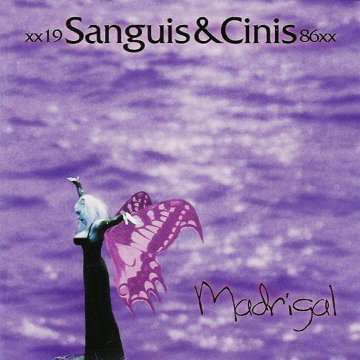Sanguis et Cinis - Ein blinder Spiegel