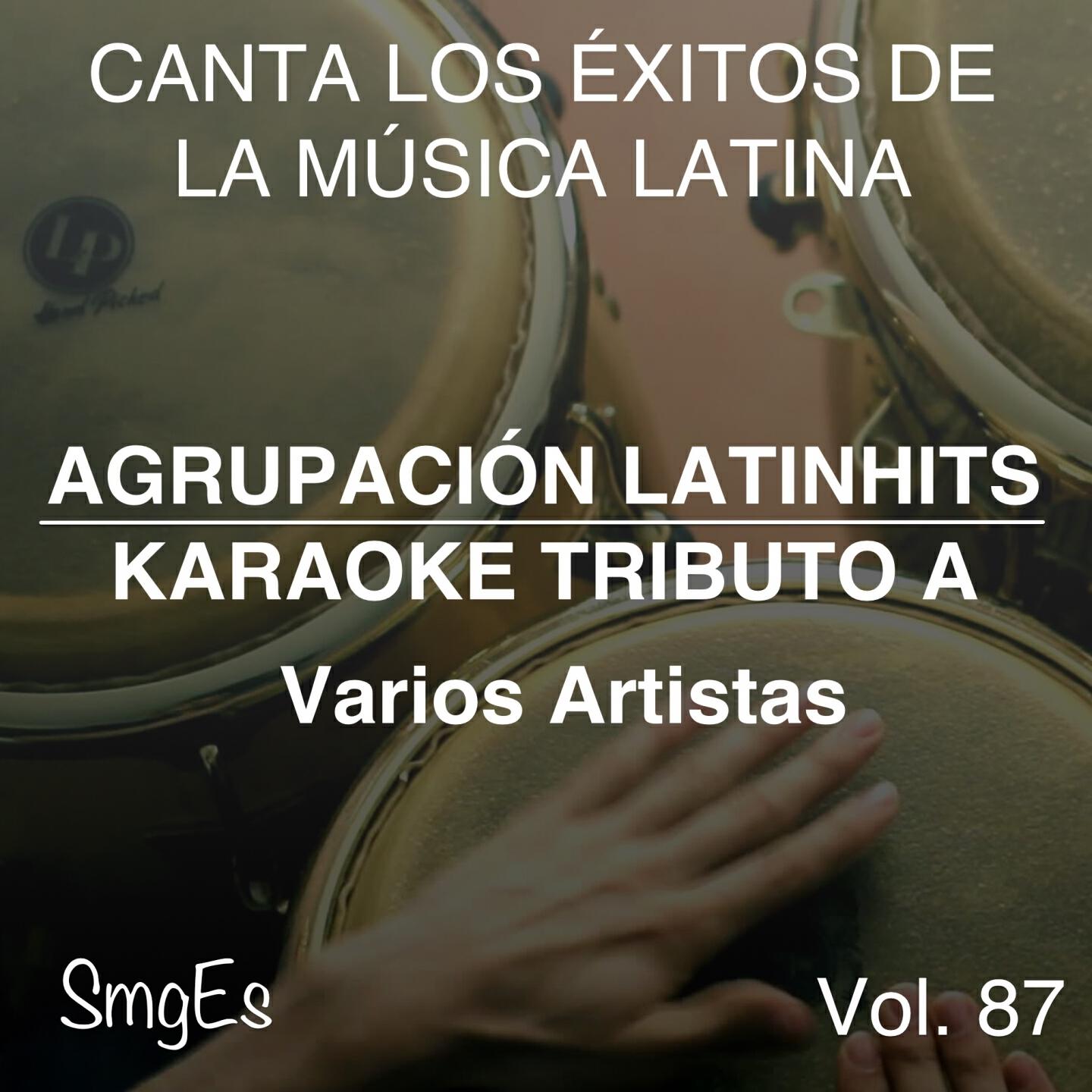 Agrupacion LatinHits - Contamanina (In the Style of Tania Libertad)