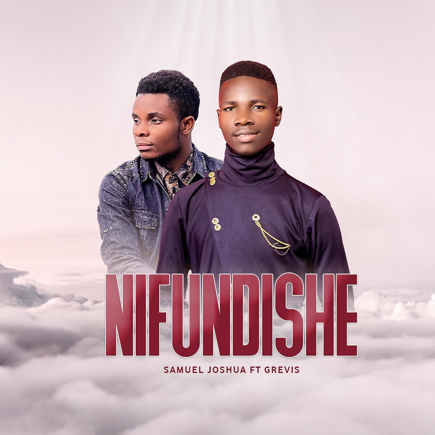 Постер альбома Nifundishe (feat. Grevis)