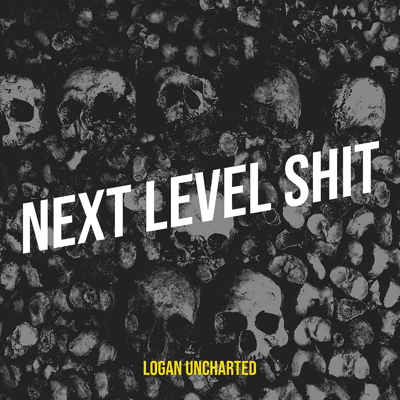 Постер альбома Next Level Shit