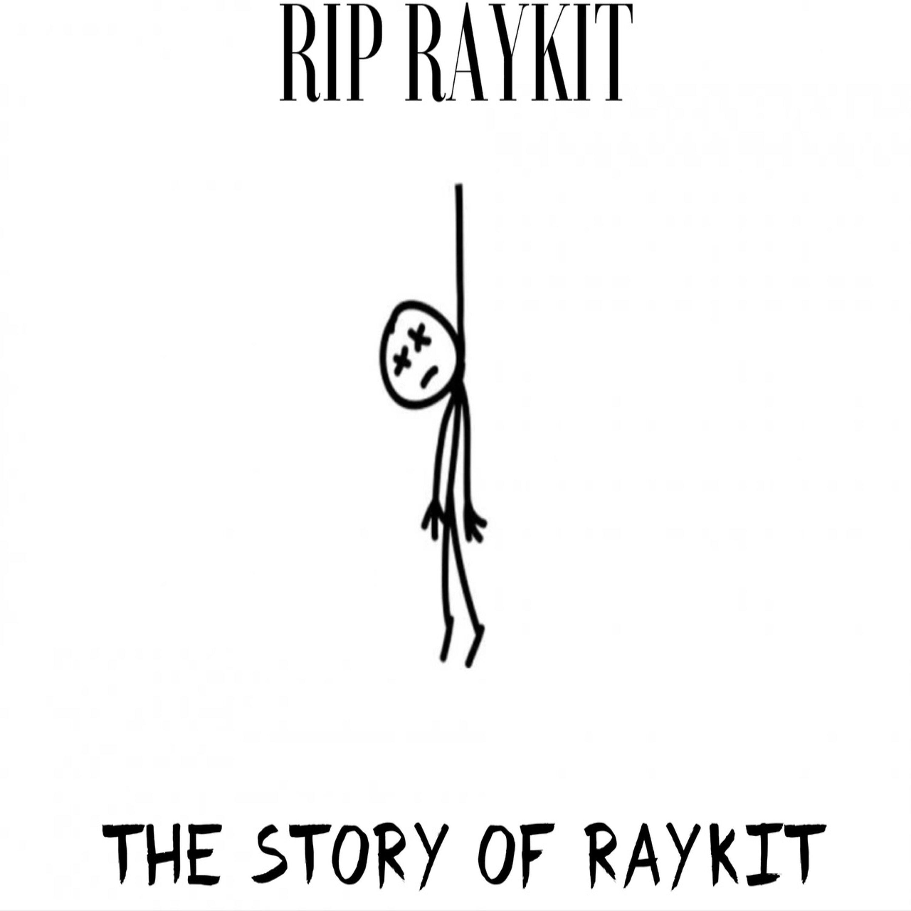 Постер альбома The story of RAYKIT