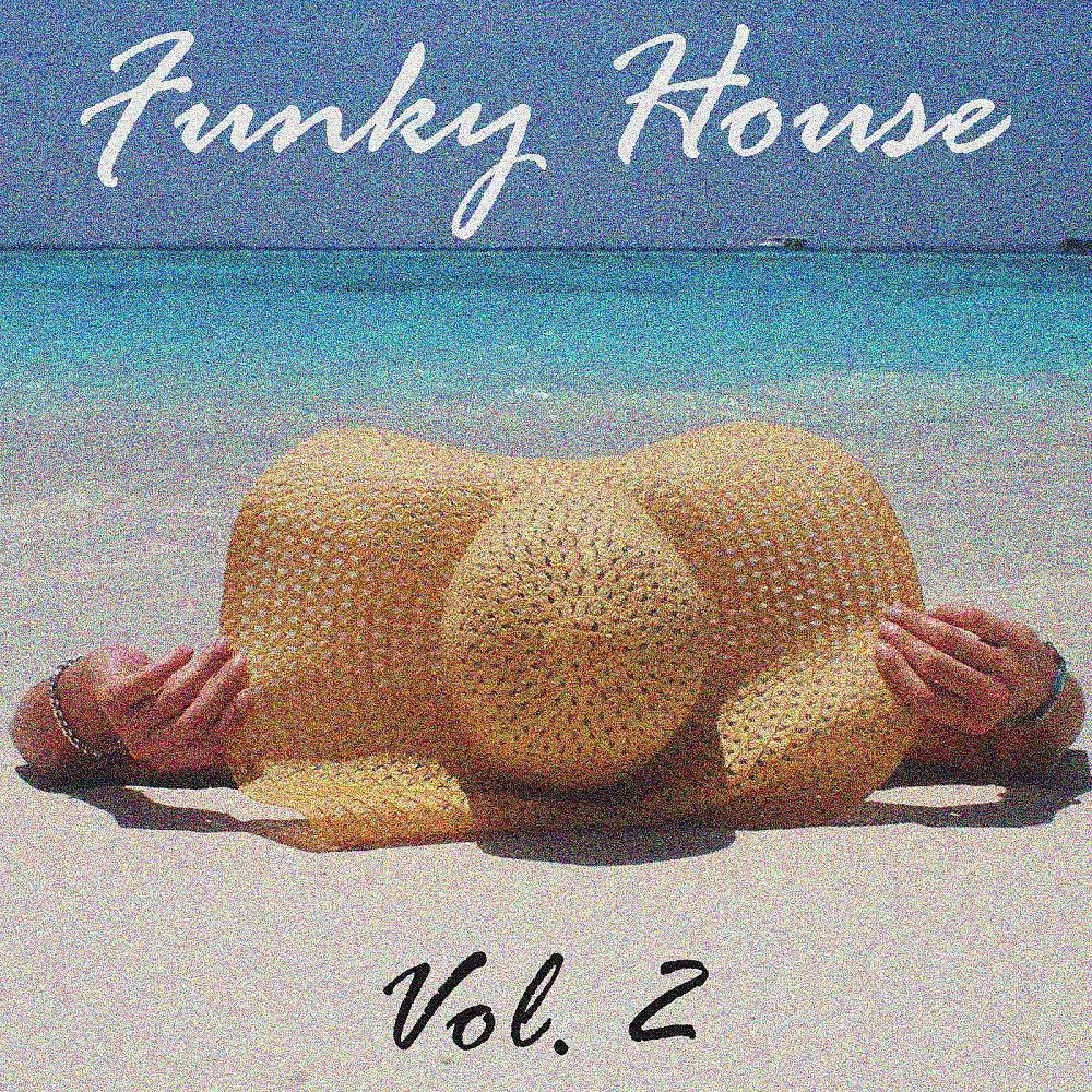 Постер альбома Funky House, Vol. 2
