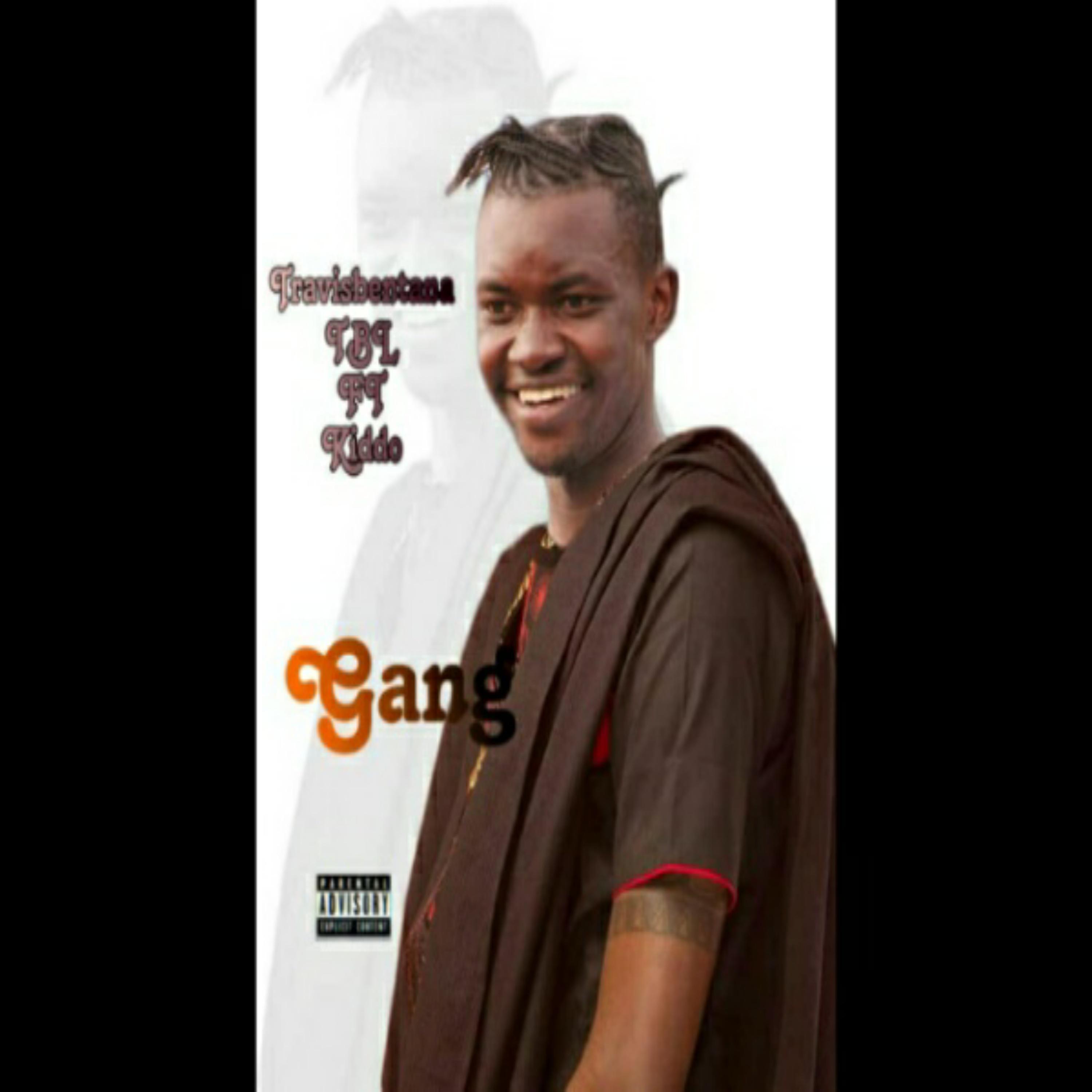Постер альбома Gang (feat. Kiddo)