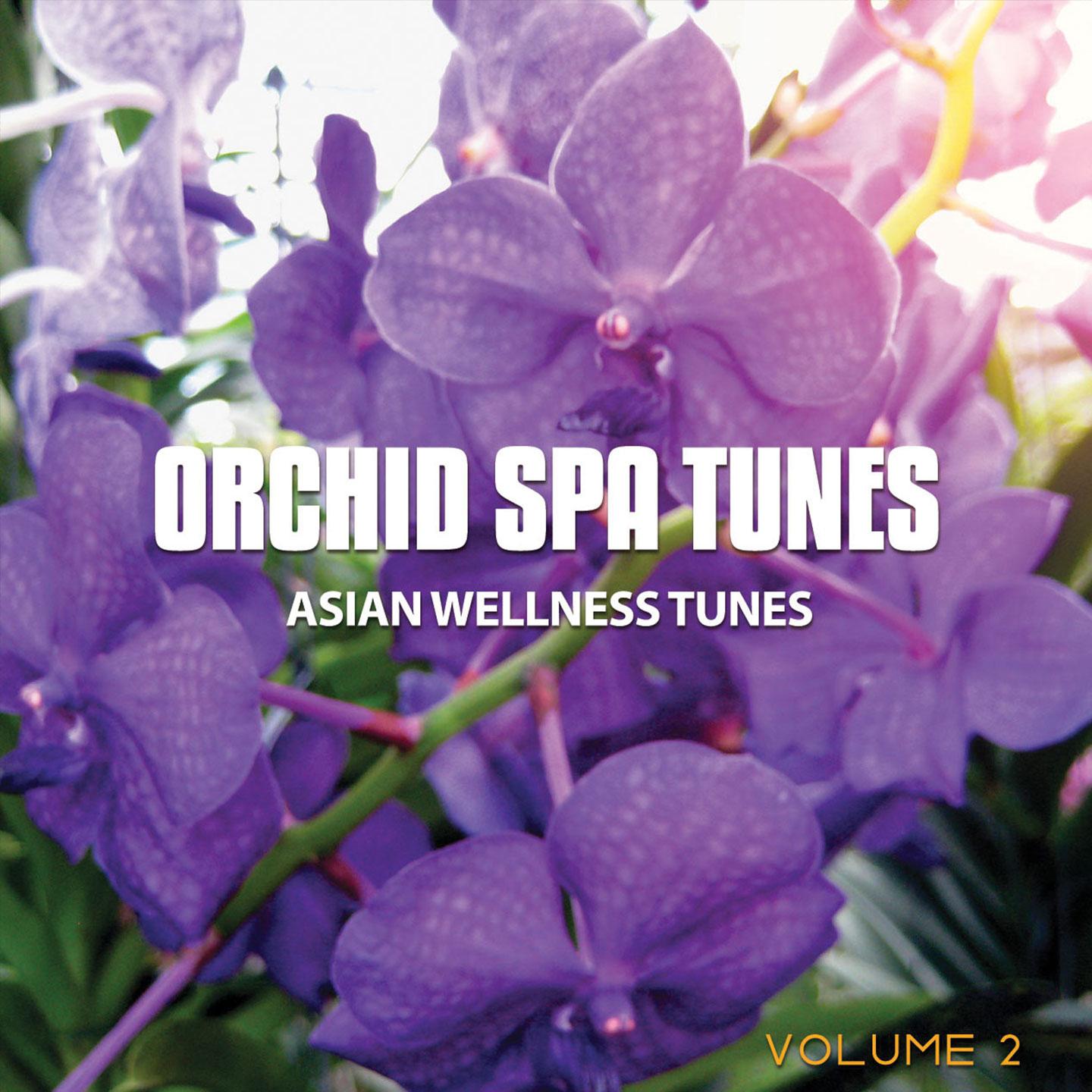 Постер альбома Orchid Spa Tunes, Vol. 2