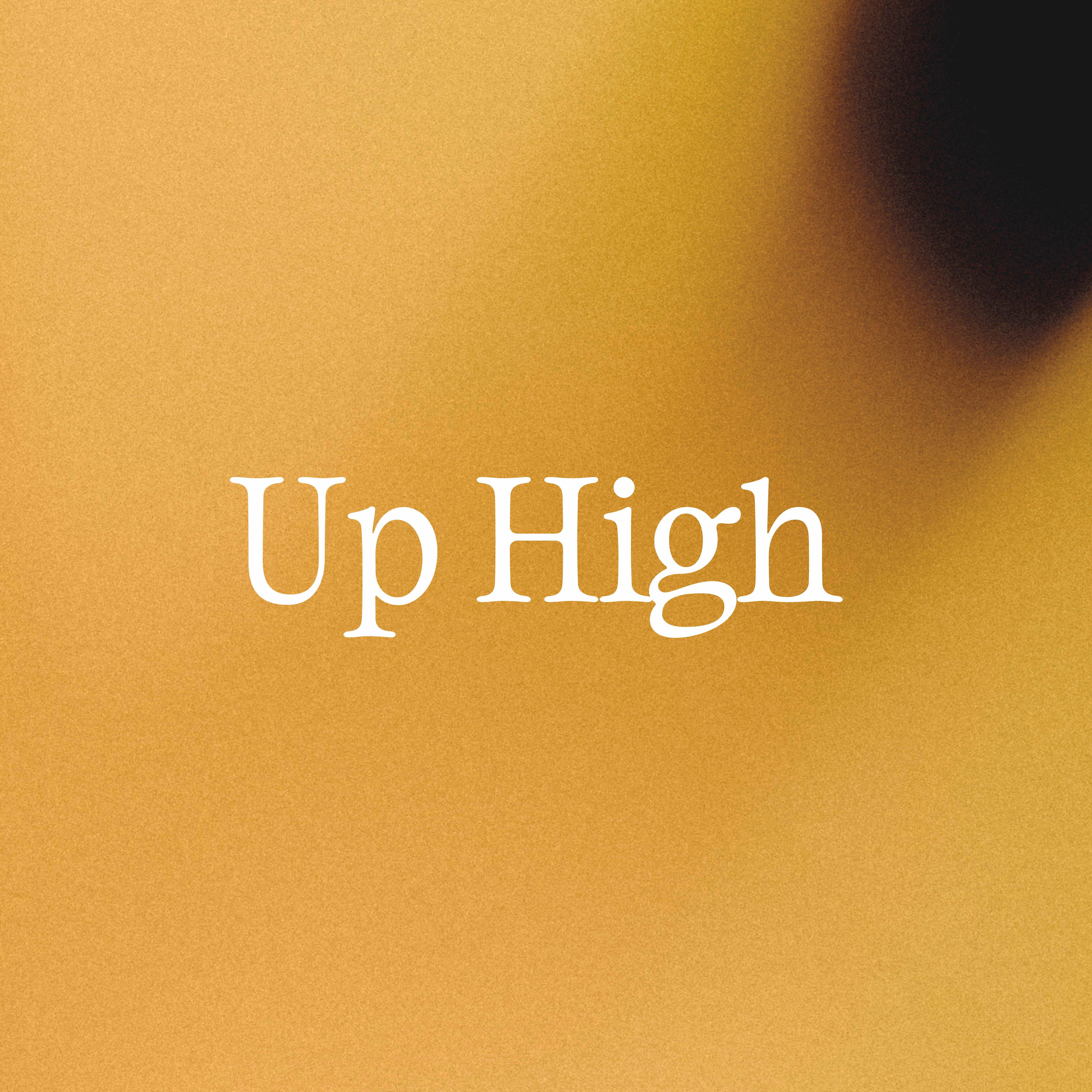 Постер альбома Up High