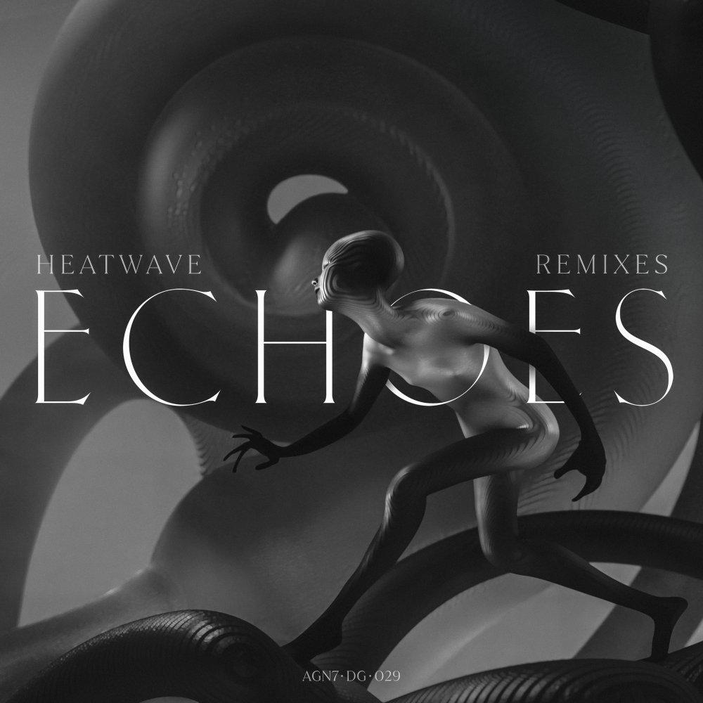 Постер альбома Echoes Remixes