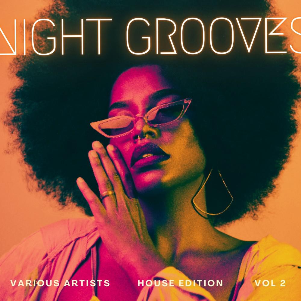 Постер альбома Night Grooves (House Edition), Vol. 2