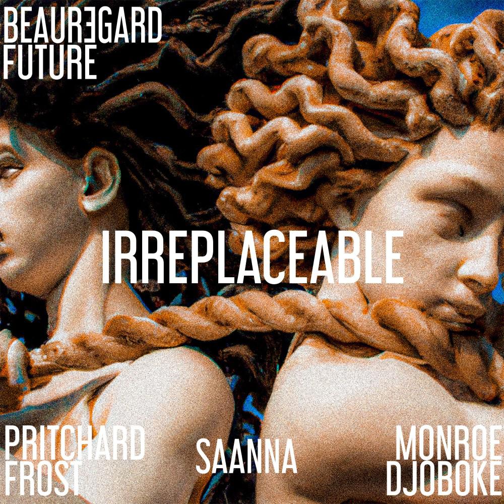 Постер альбома Irreplaceable (Hors-Serie Session)