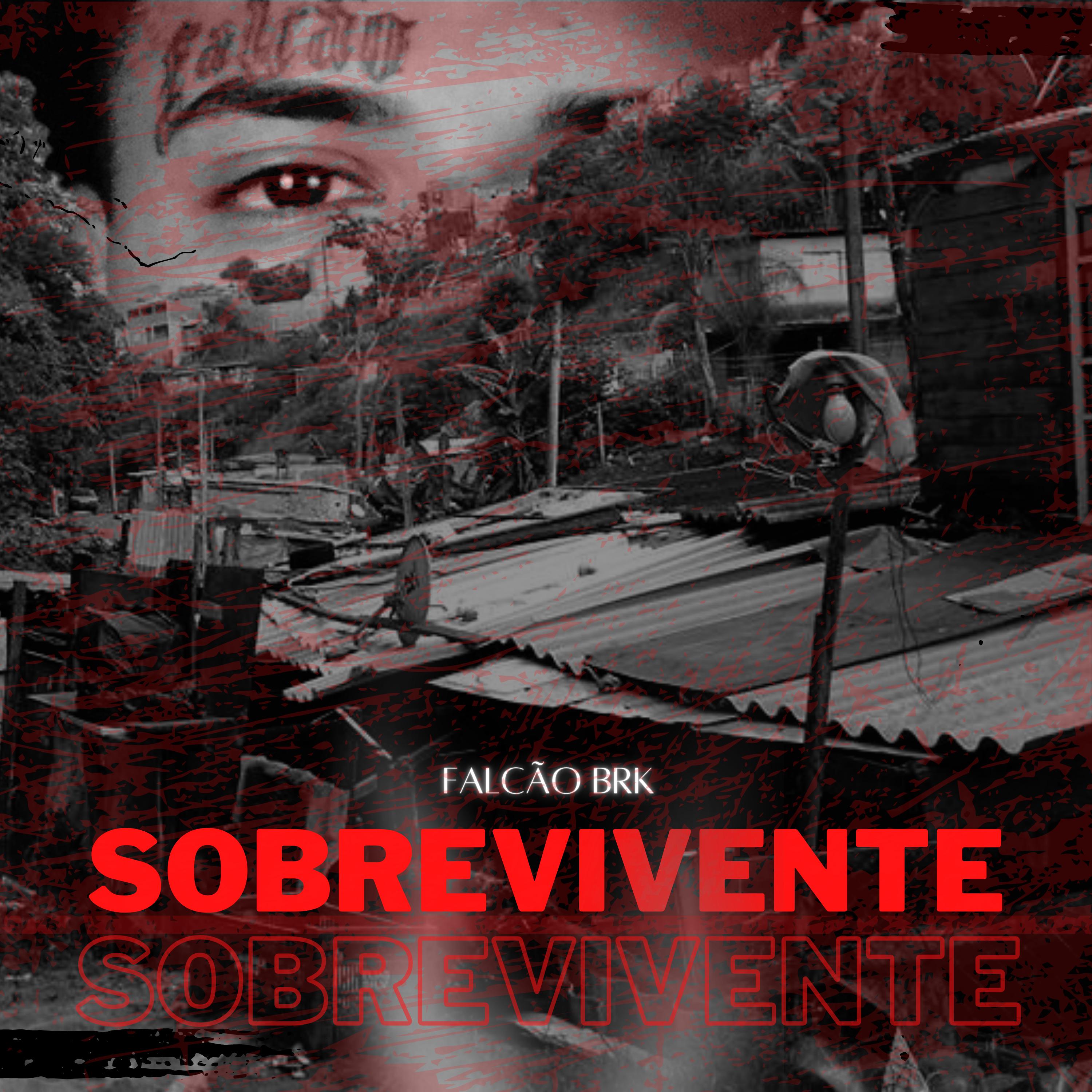 Постер альбома Sobrevivente