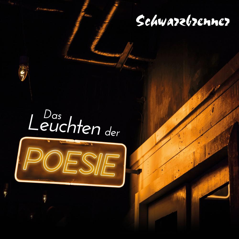 Постер альбома Das Leuchten der Poesie