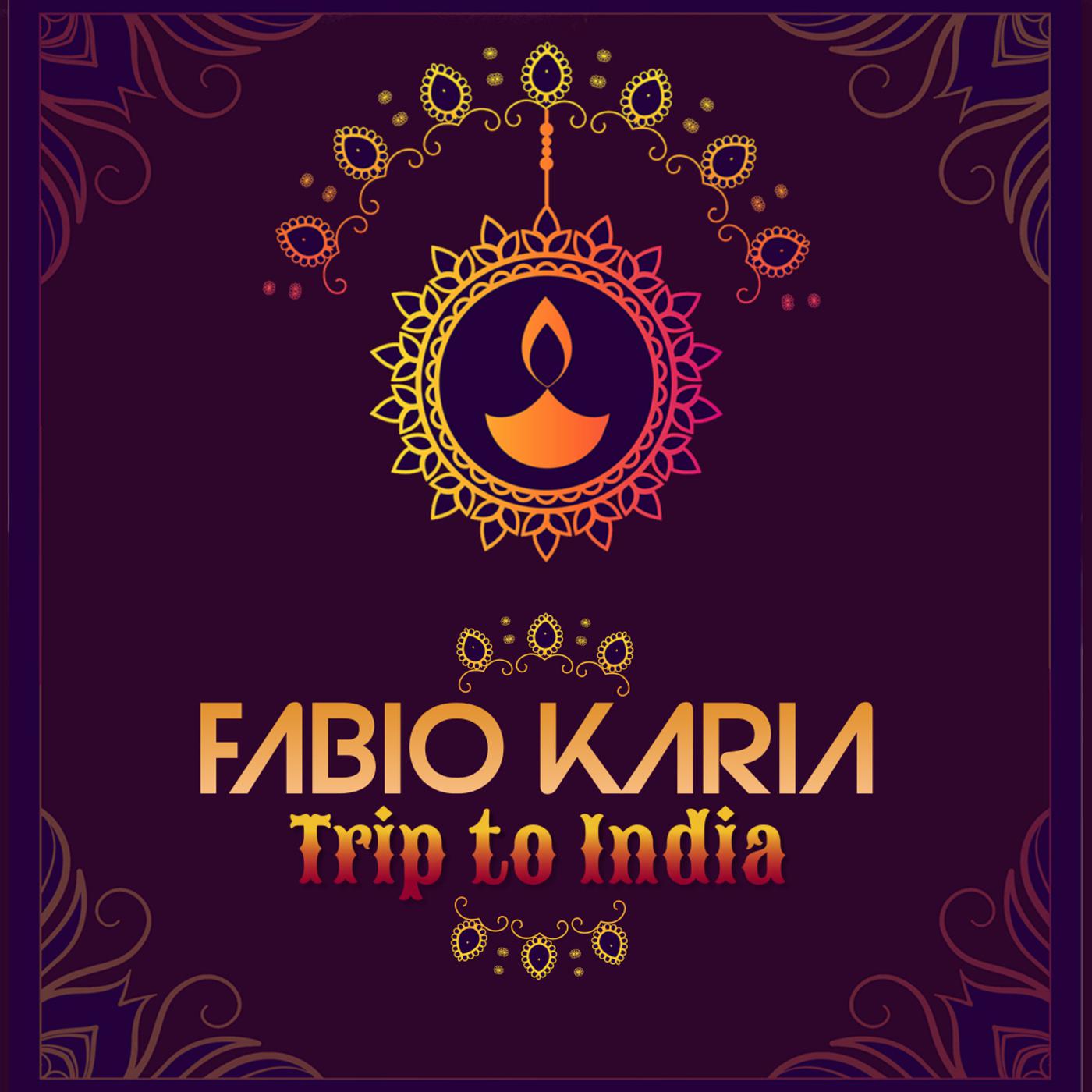 Постер альбома Trip to India