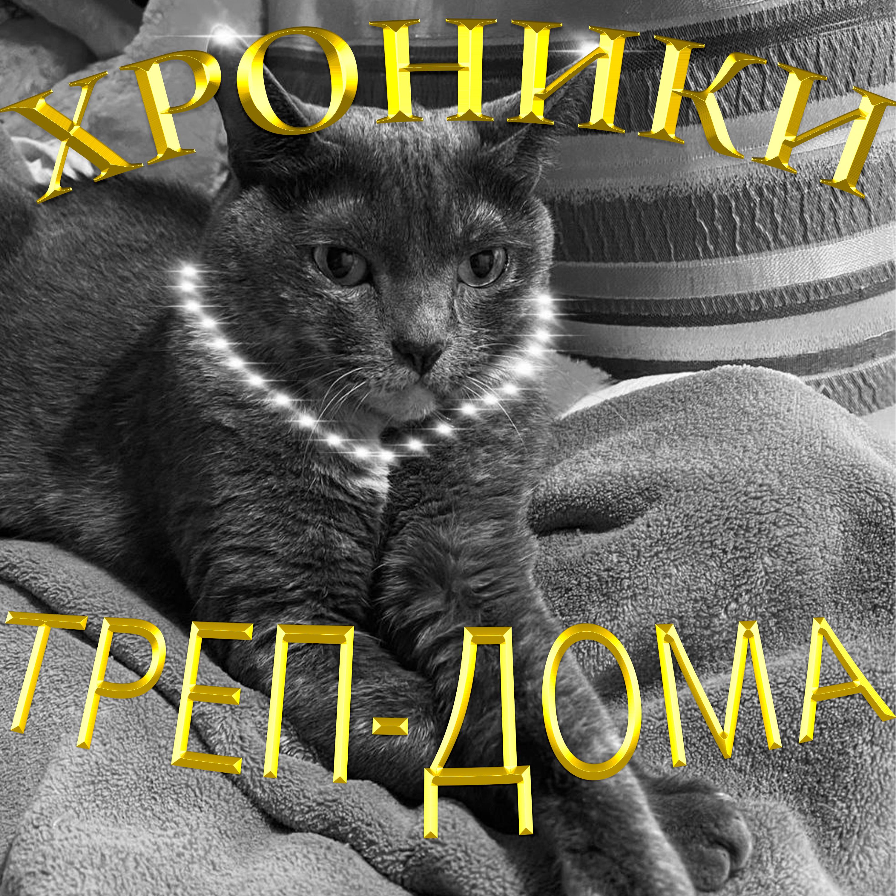 Постер альбома ХРОНИКИ ТРЕП-ДОМА