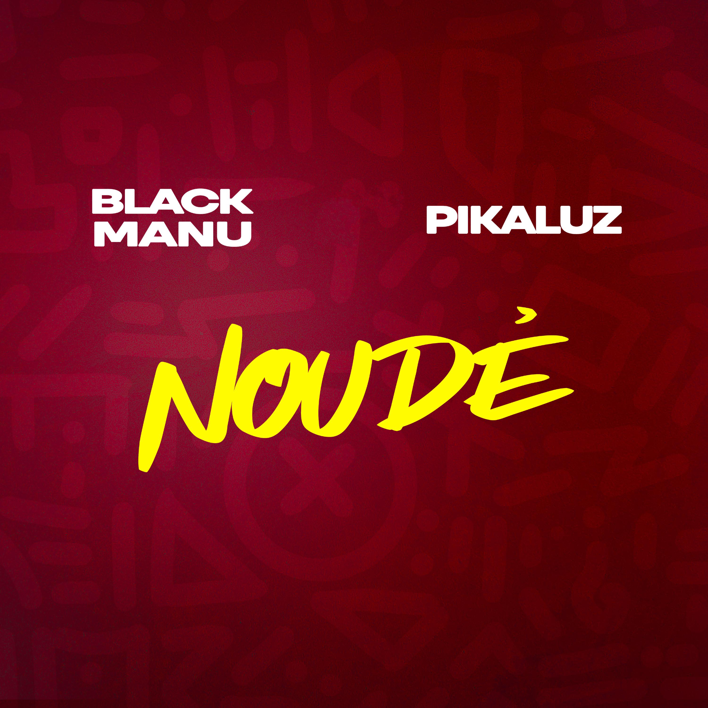 Постер альбома Noudé