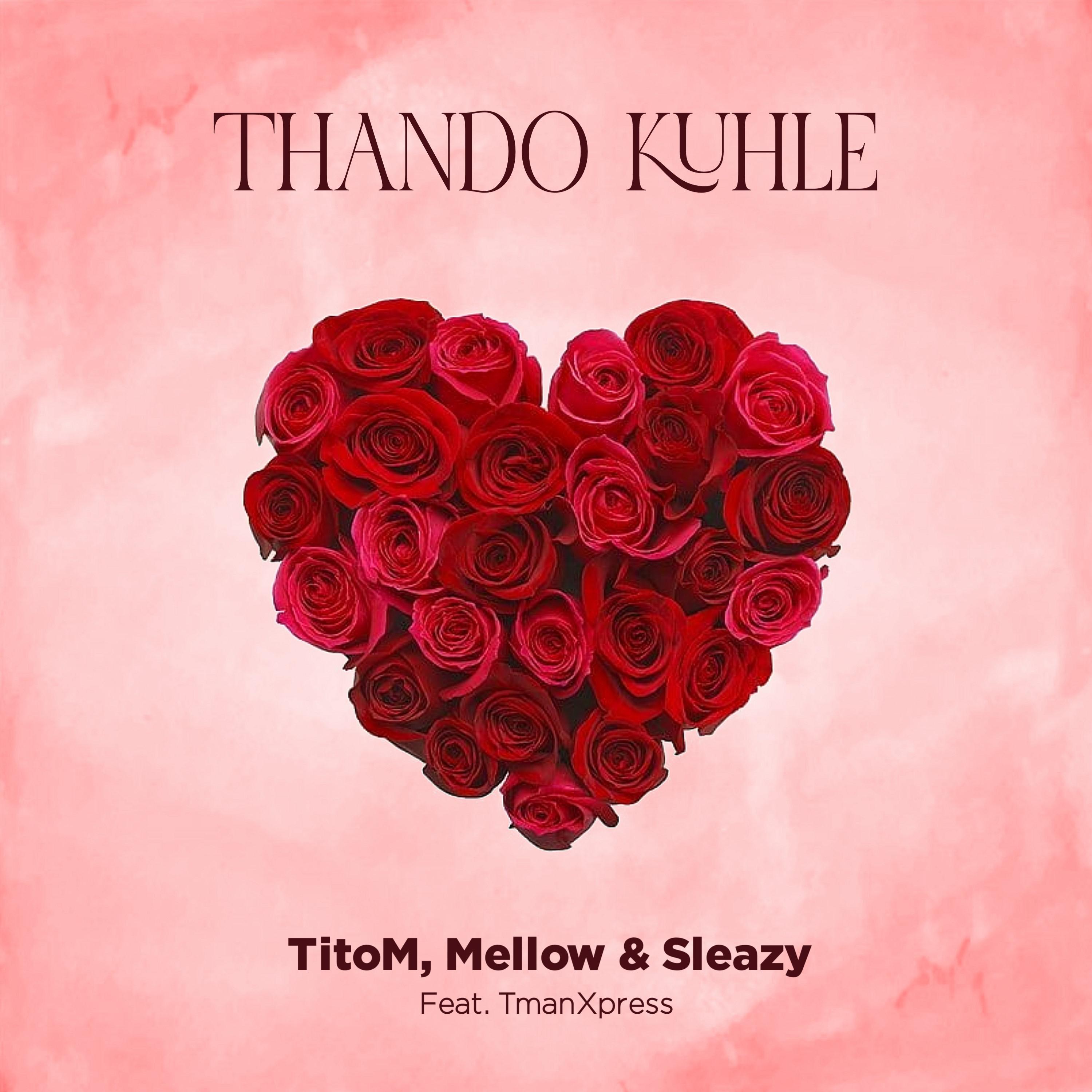 Постер альбома Thando Kuhle