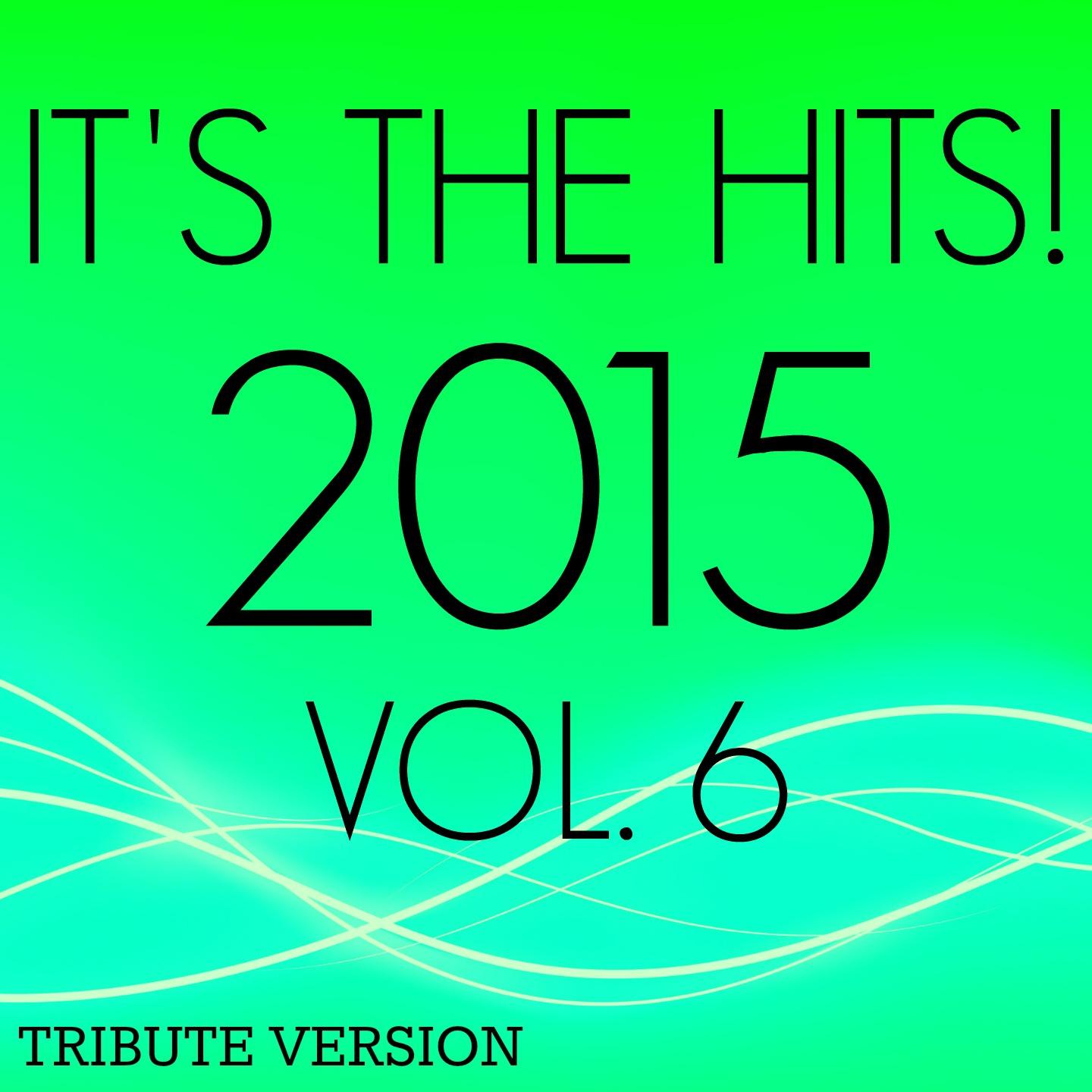 Постер альбома It's the Hits! 2015, Vol.6