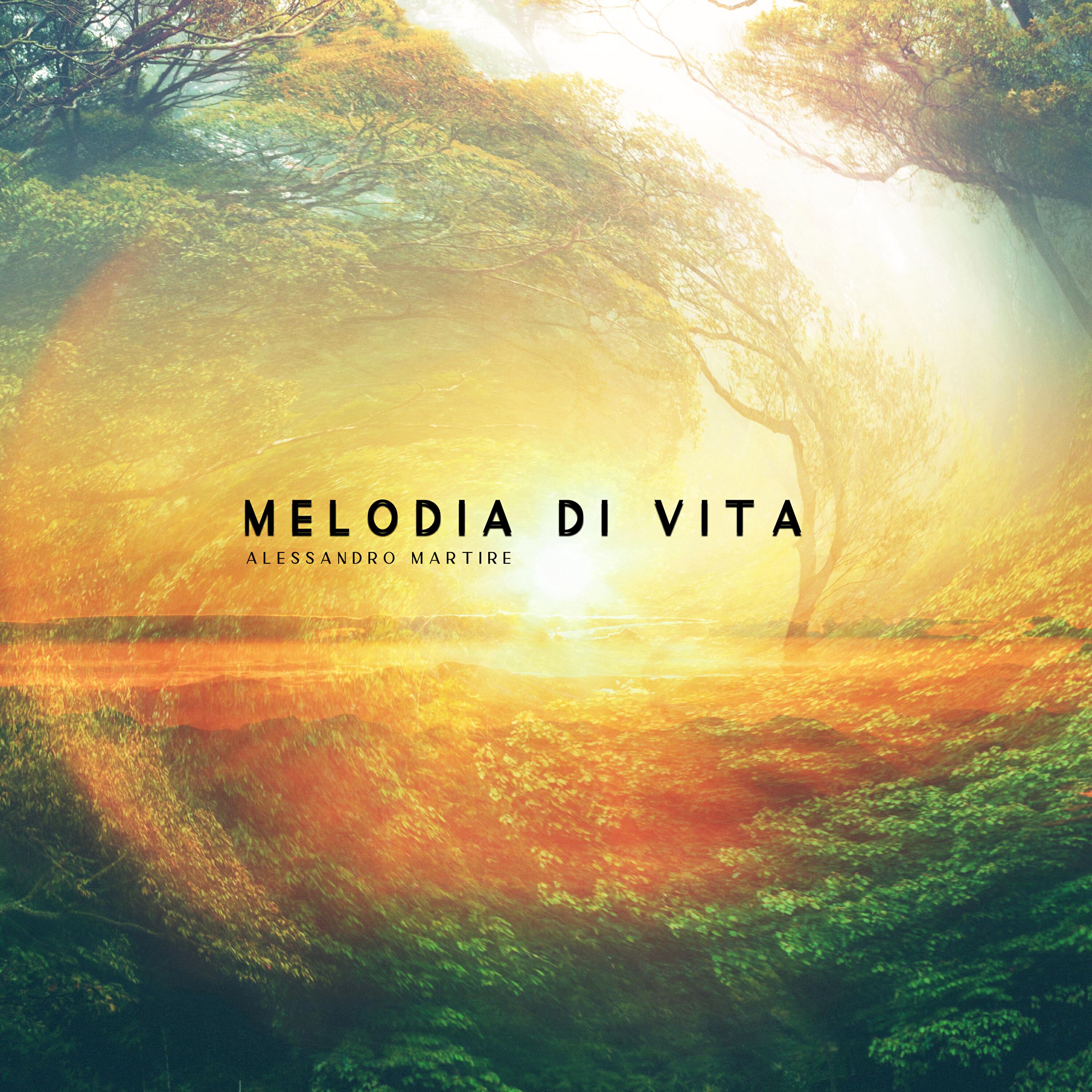 Alessandro Martire - L'ultimo desiderio