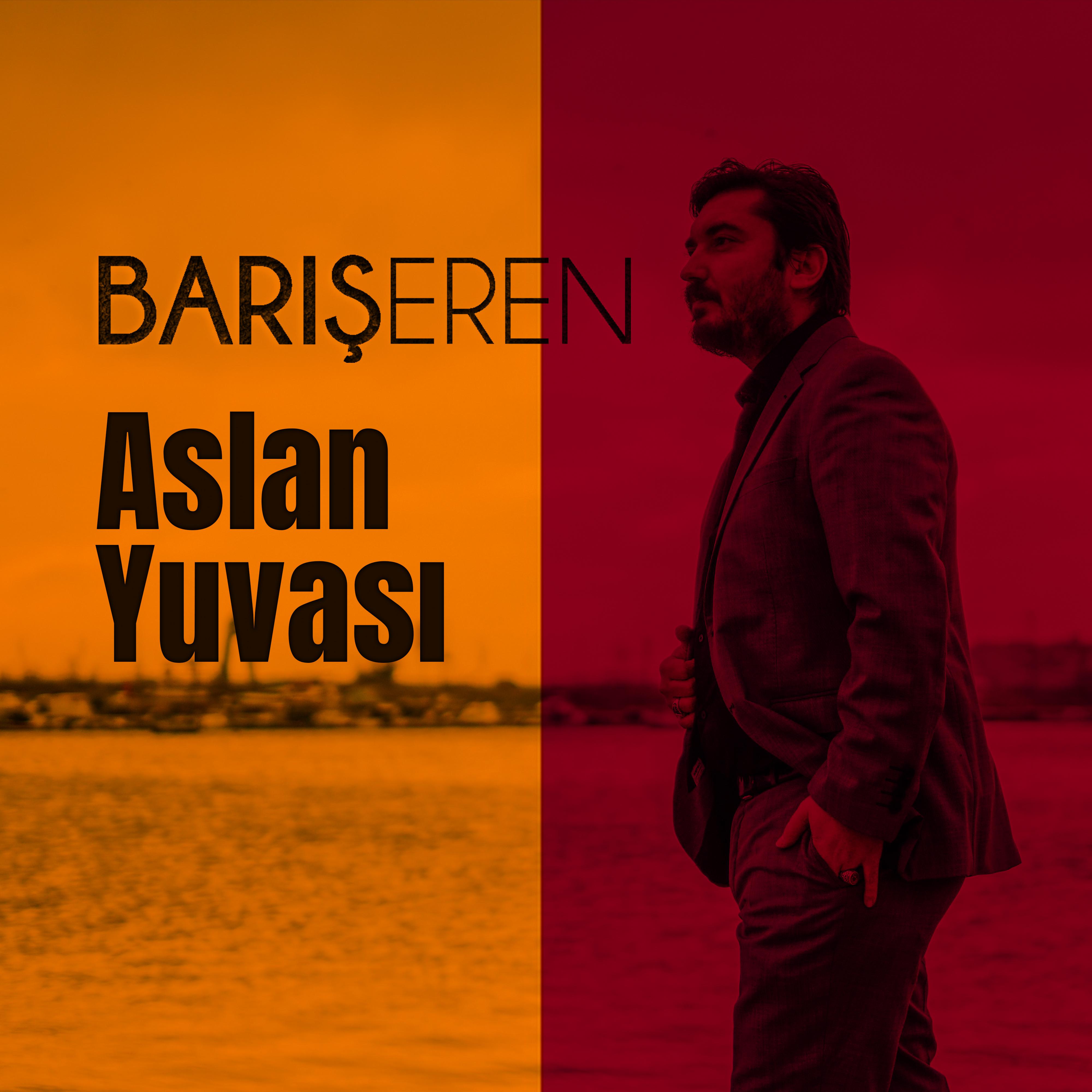 Постер альбома Aslan Yuvası