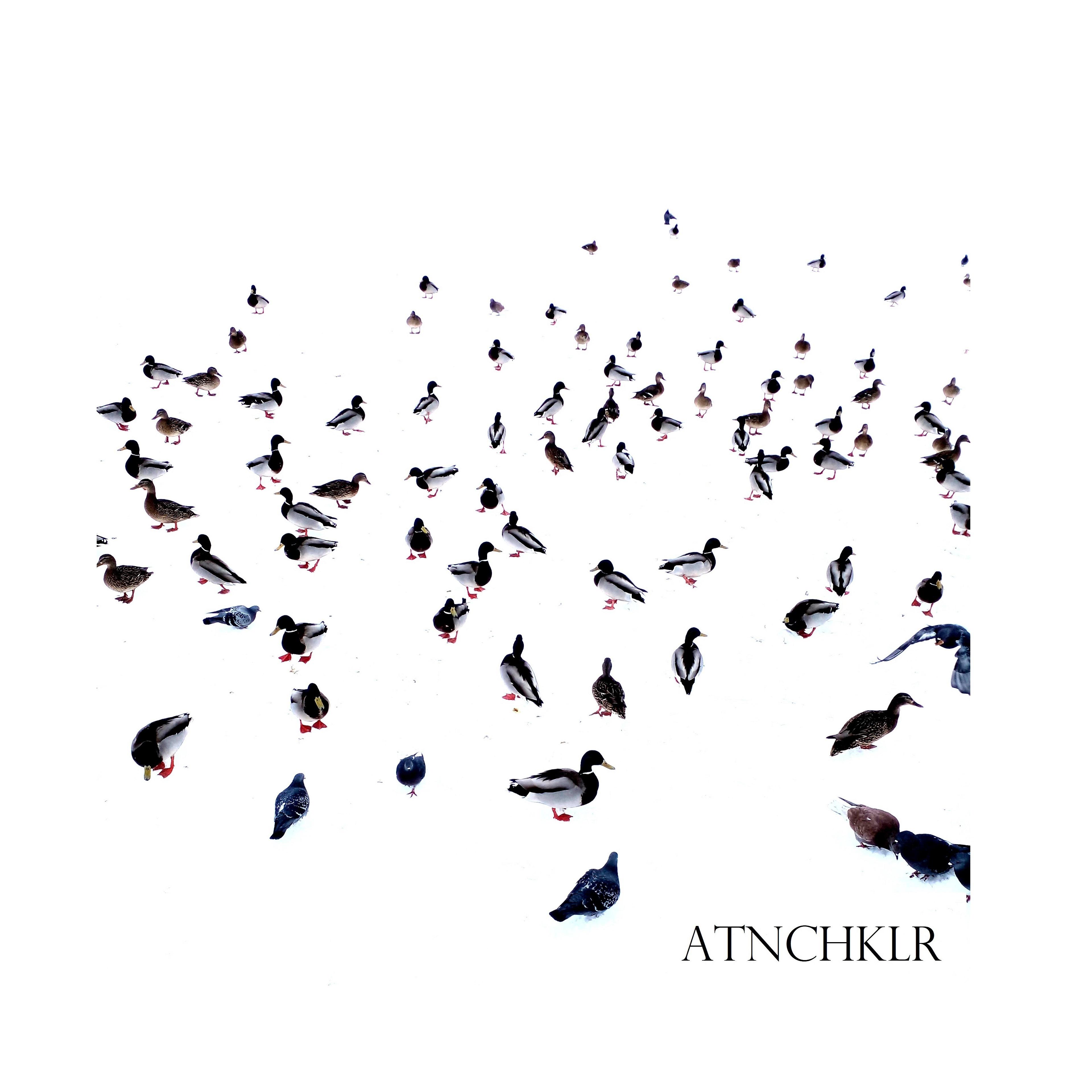 Постер альбома ATNCHKLR