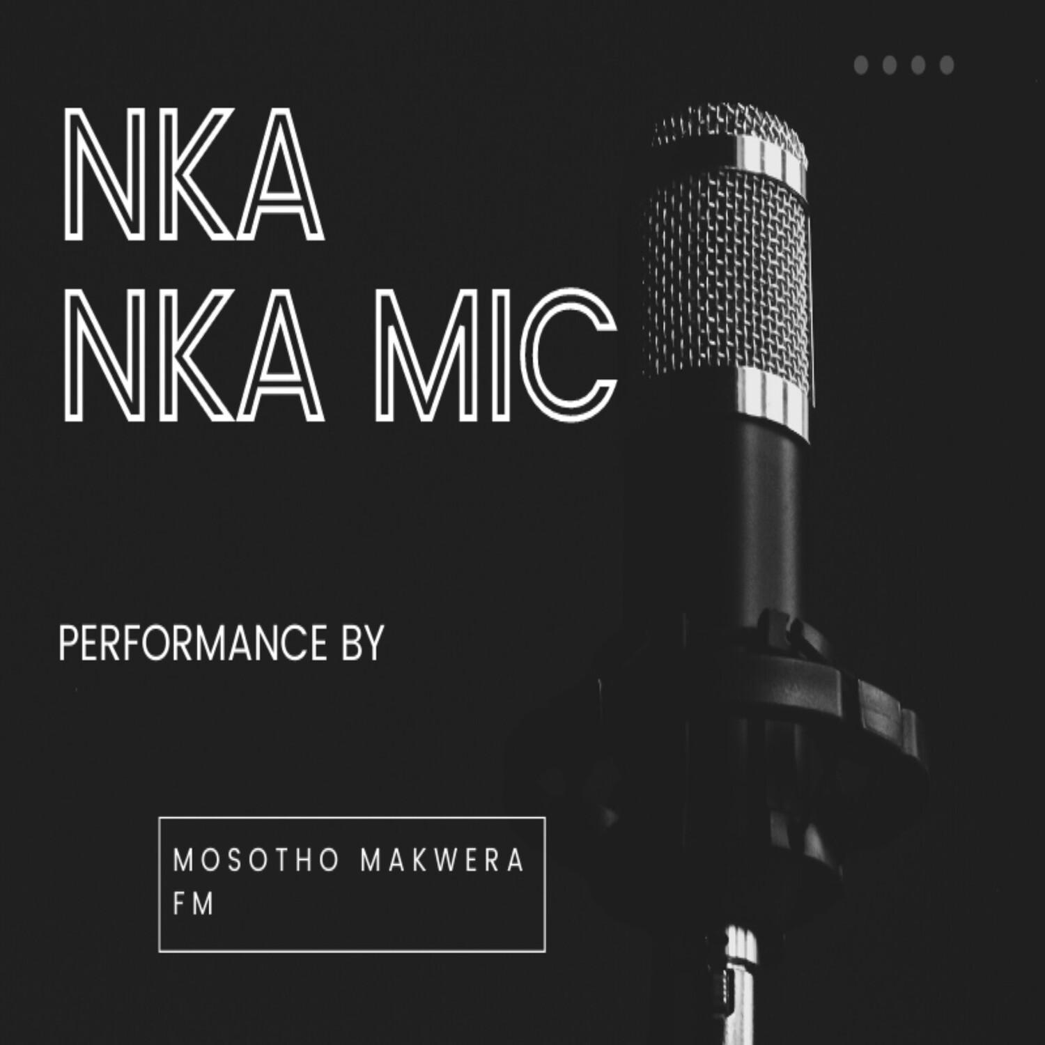 Постер альбома Nka nka mic (feat. FM)