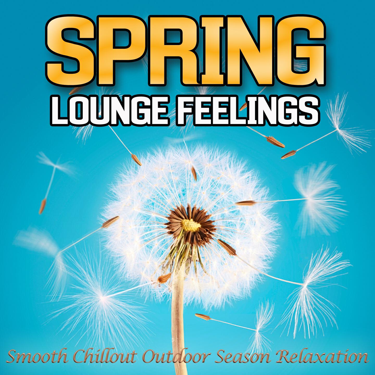 Balearic Lounge Corporation - Picture (Midsummer Station Mix)