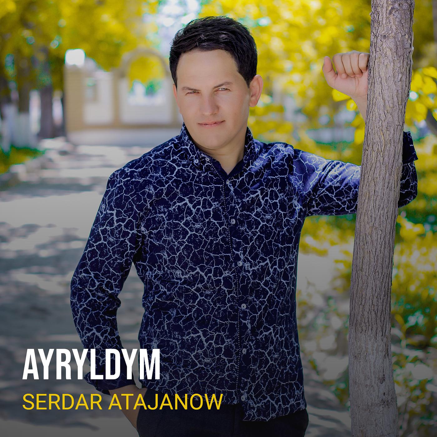 Постер альбома Ayryldym