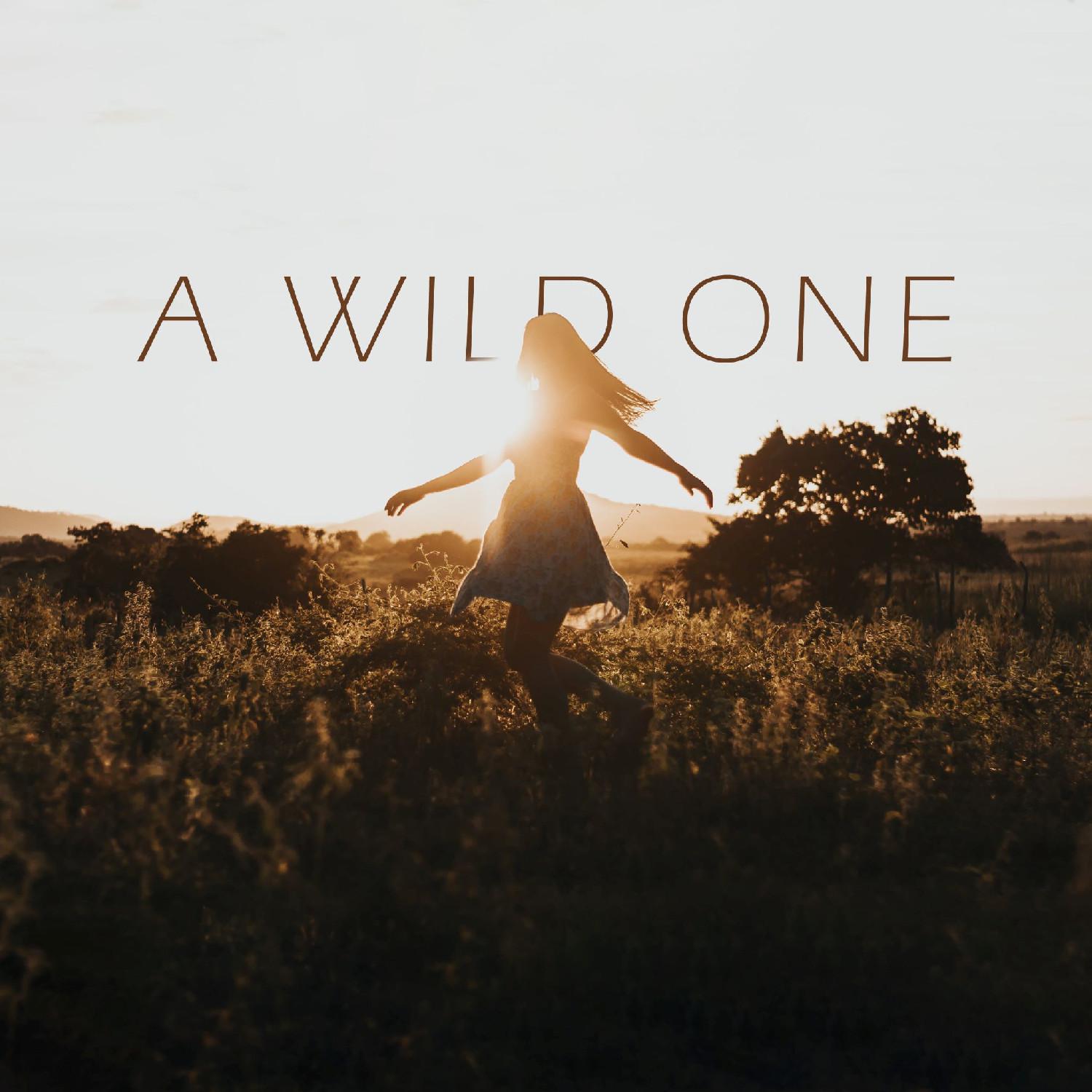 Постер альбома A Wild One