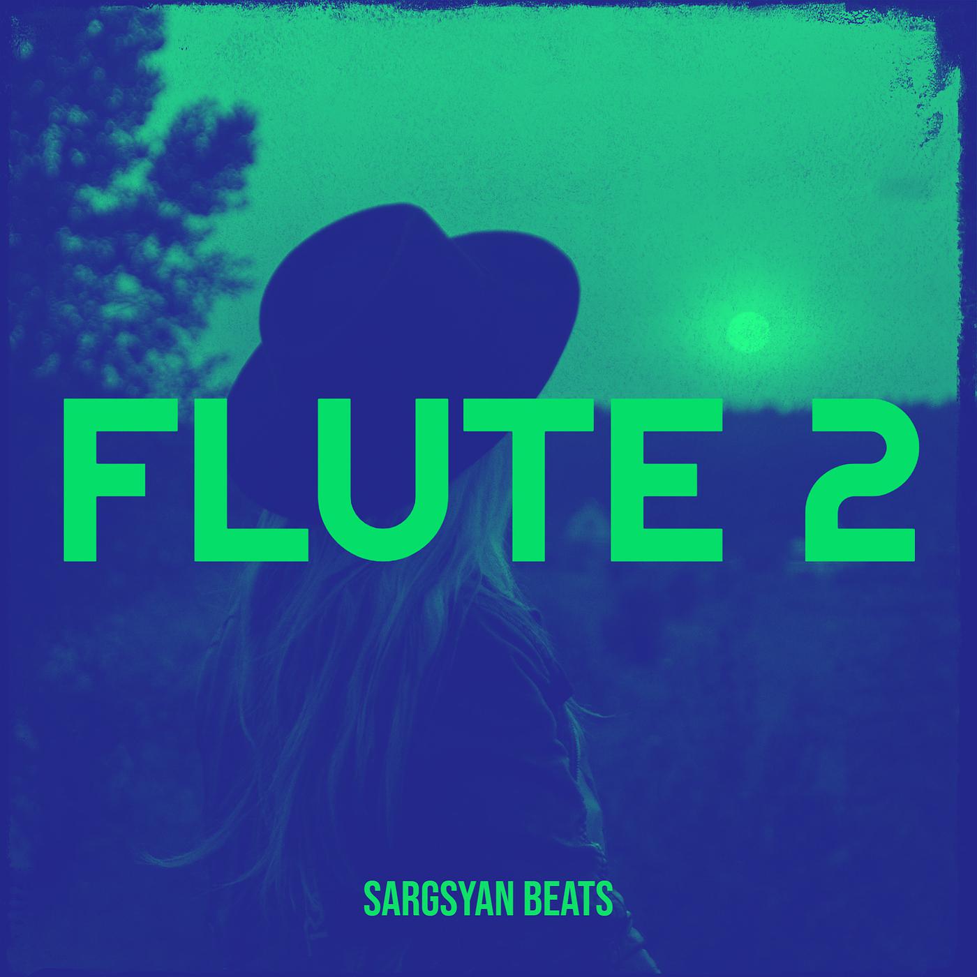 Постер альбома Flute 2