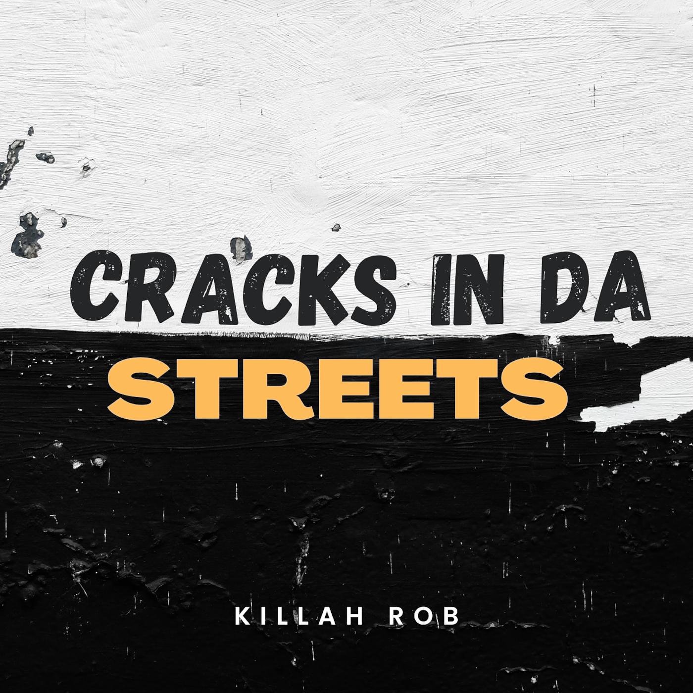 Постер альбома Cracks in da Streets