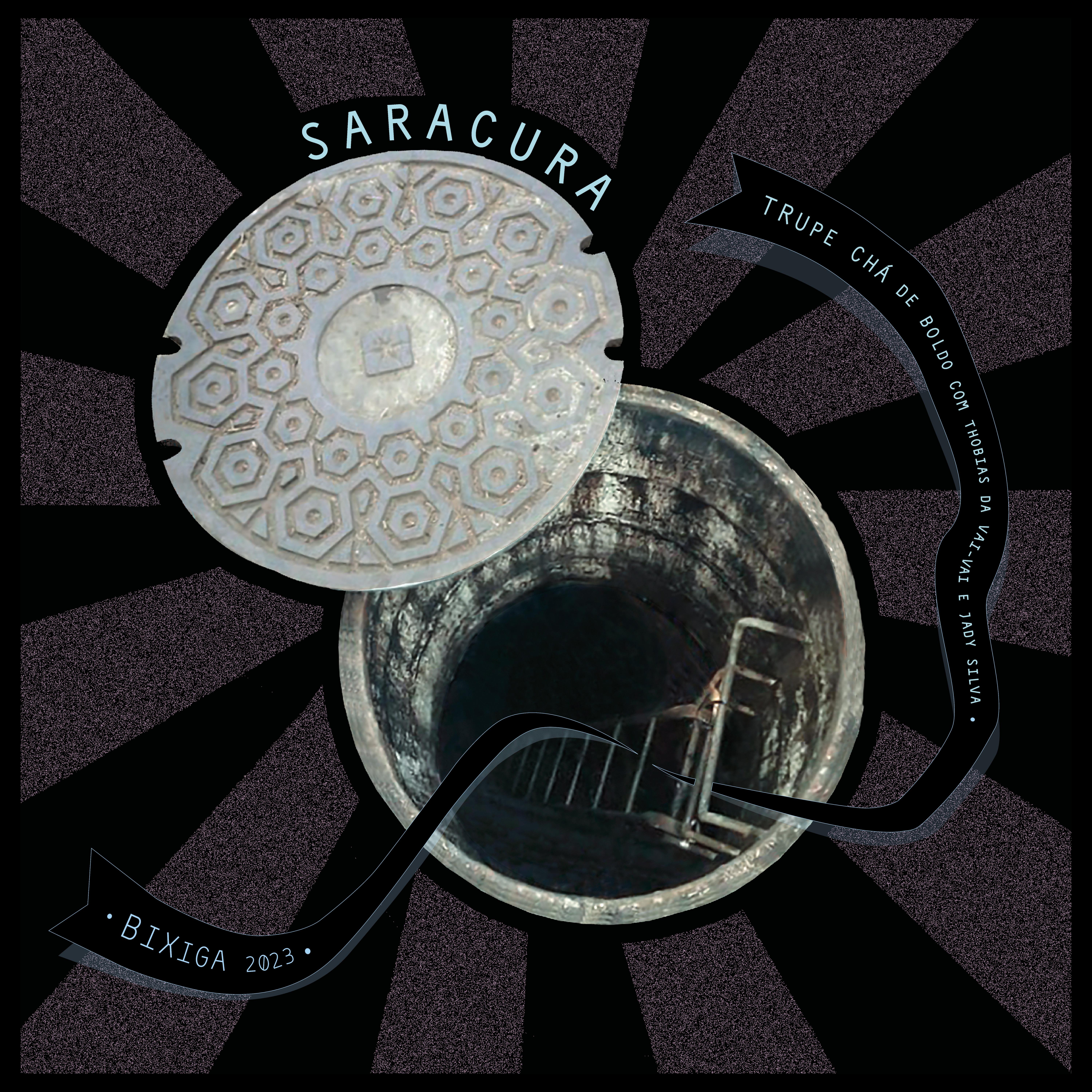 Постер альбома Saracura
